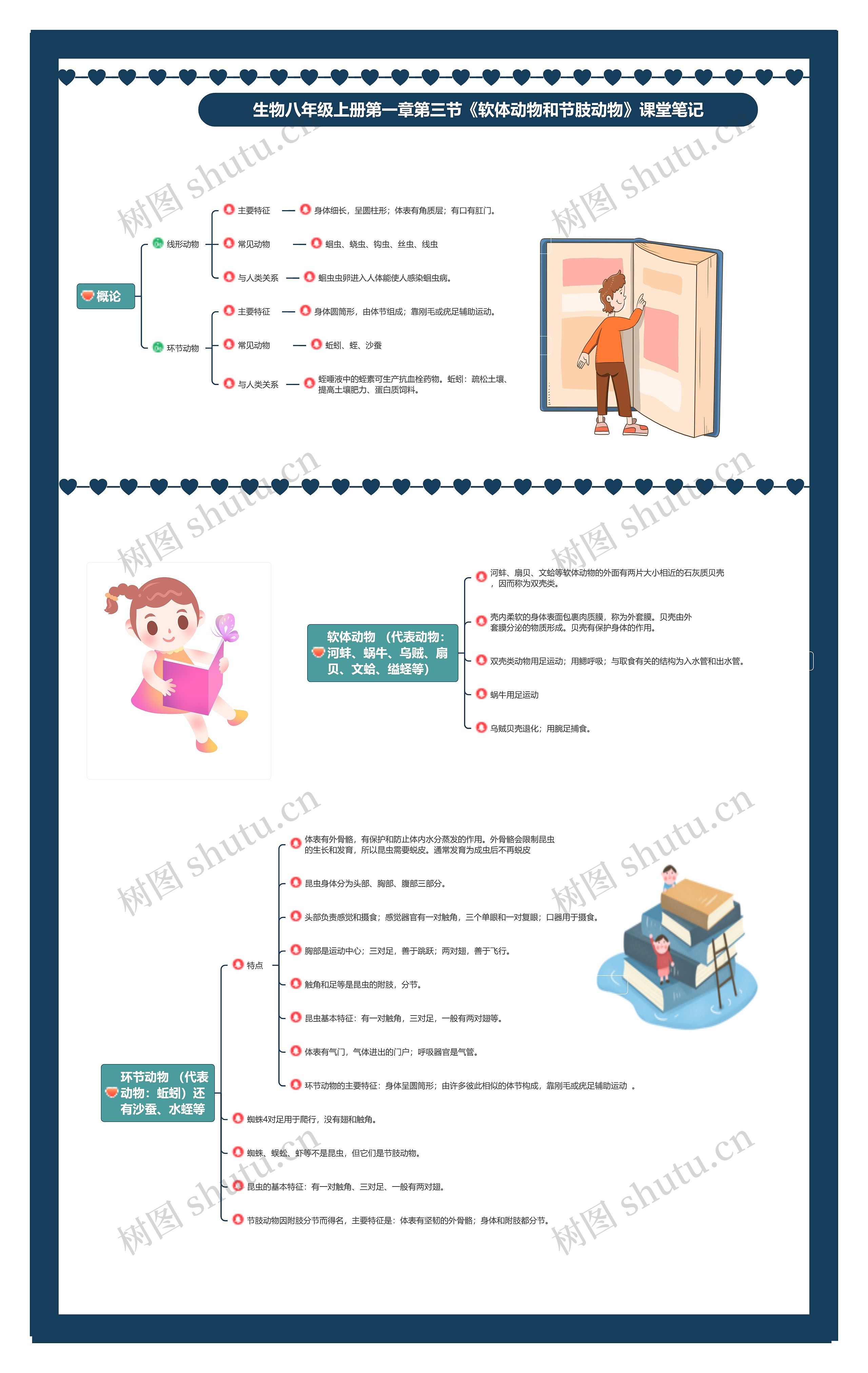 生物八年级上册第一章第三节《软体动物和节肢动物》课堂笔记思维导图