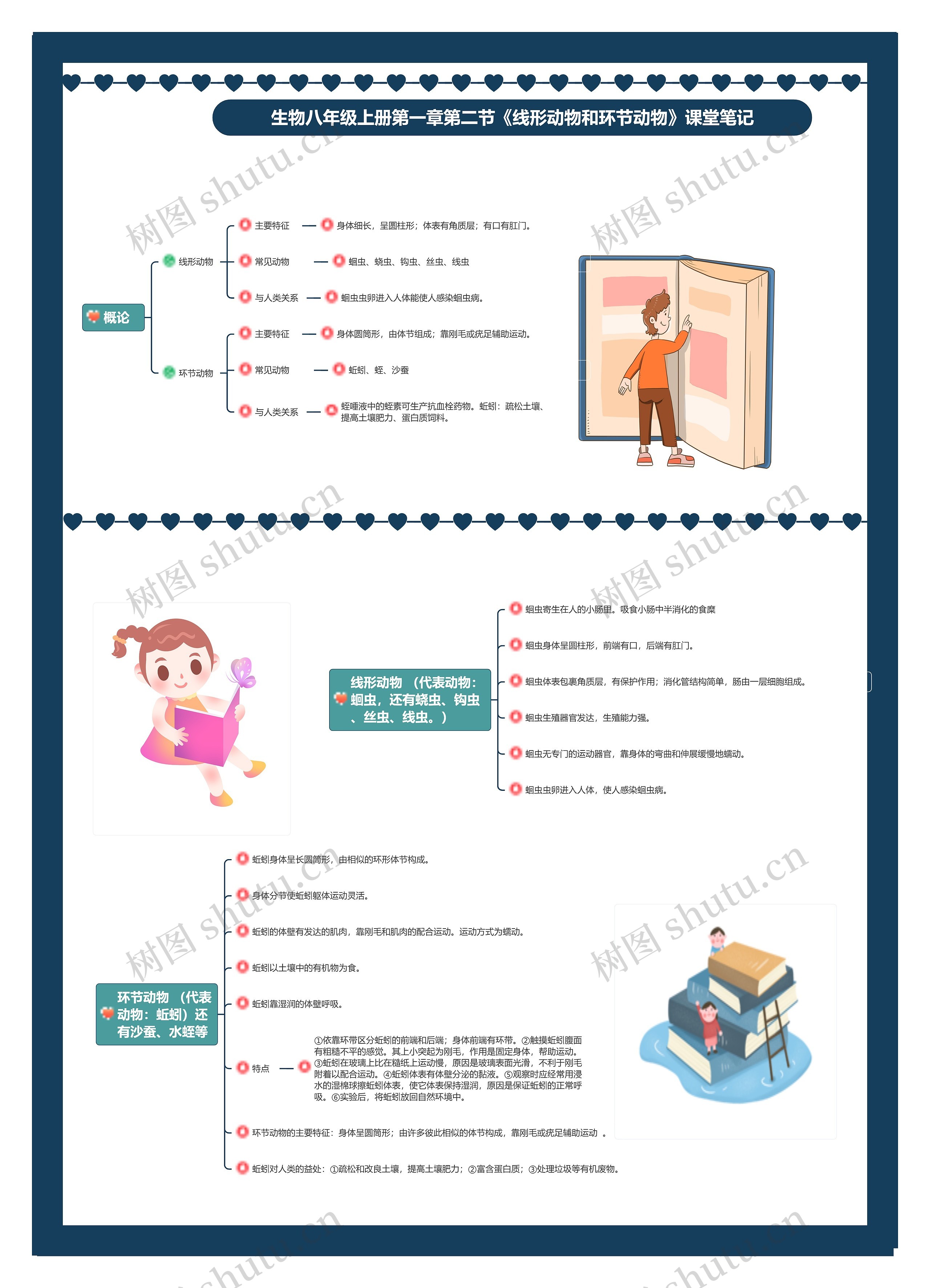 生物八年级上册第一章第二节《线形动物和环节动物》课堂笔记思维导图