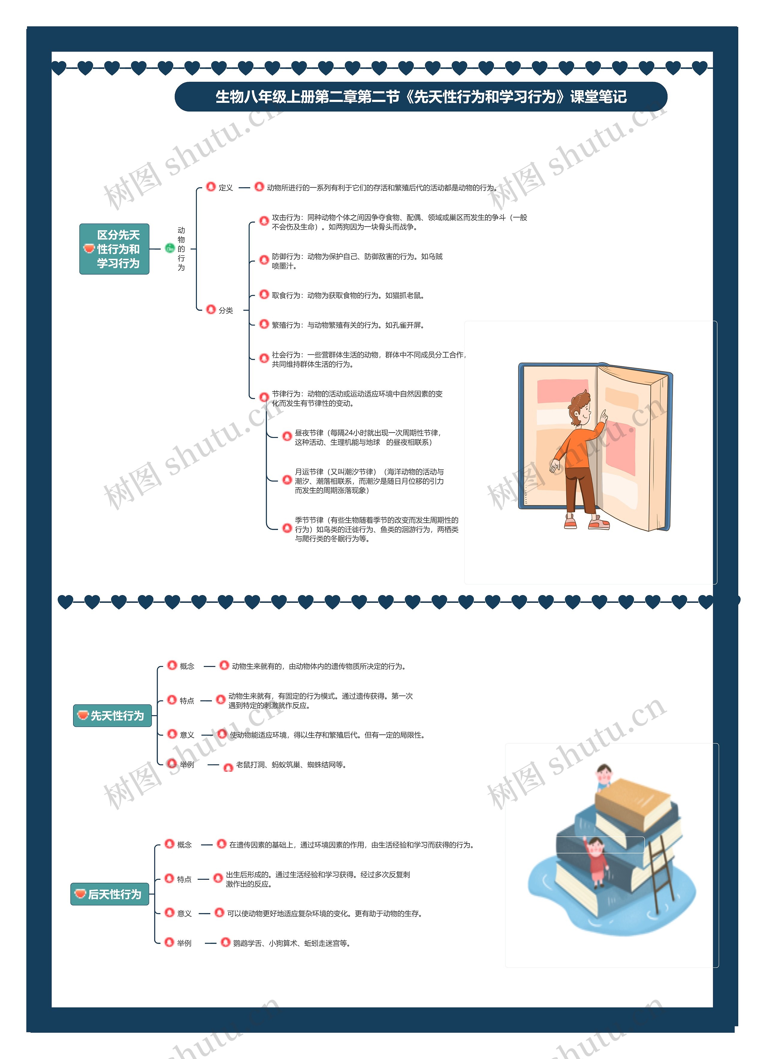 生物八年级上册第二章第二节《先天性行为和学习行为》课堂笔记思维导图