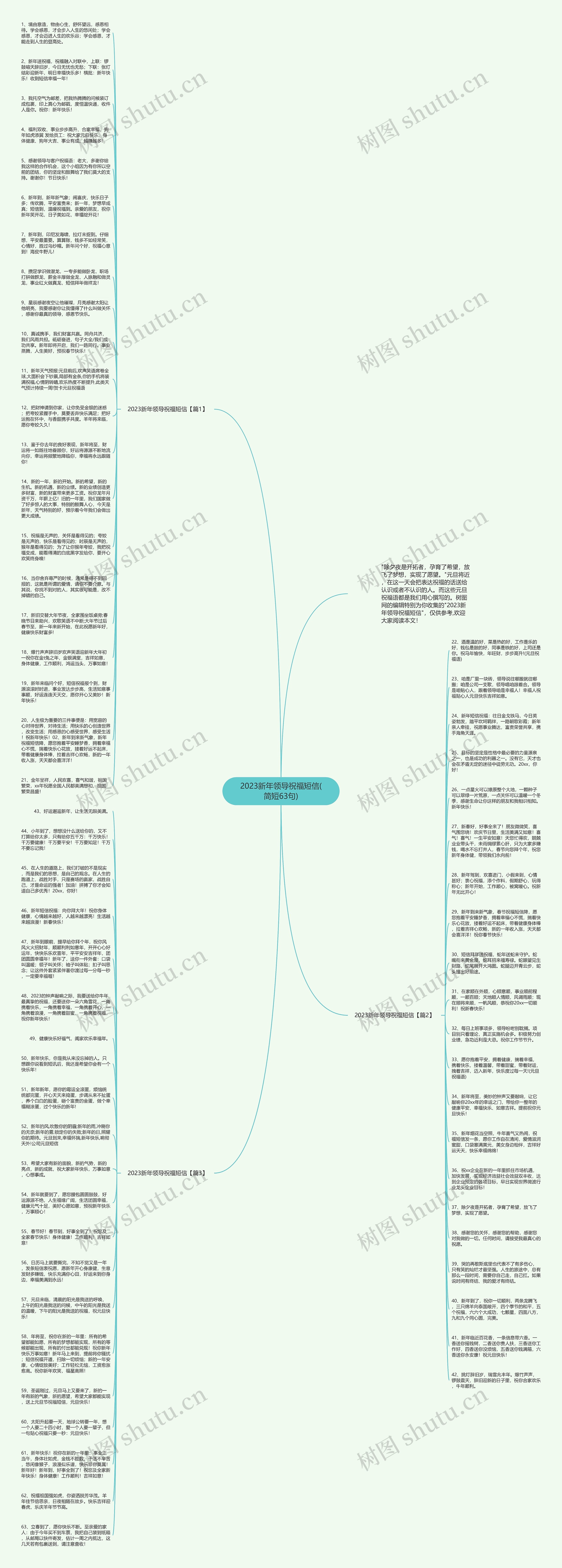 2023新年领导祝福短信(简短63句)思维导图