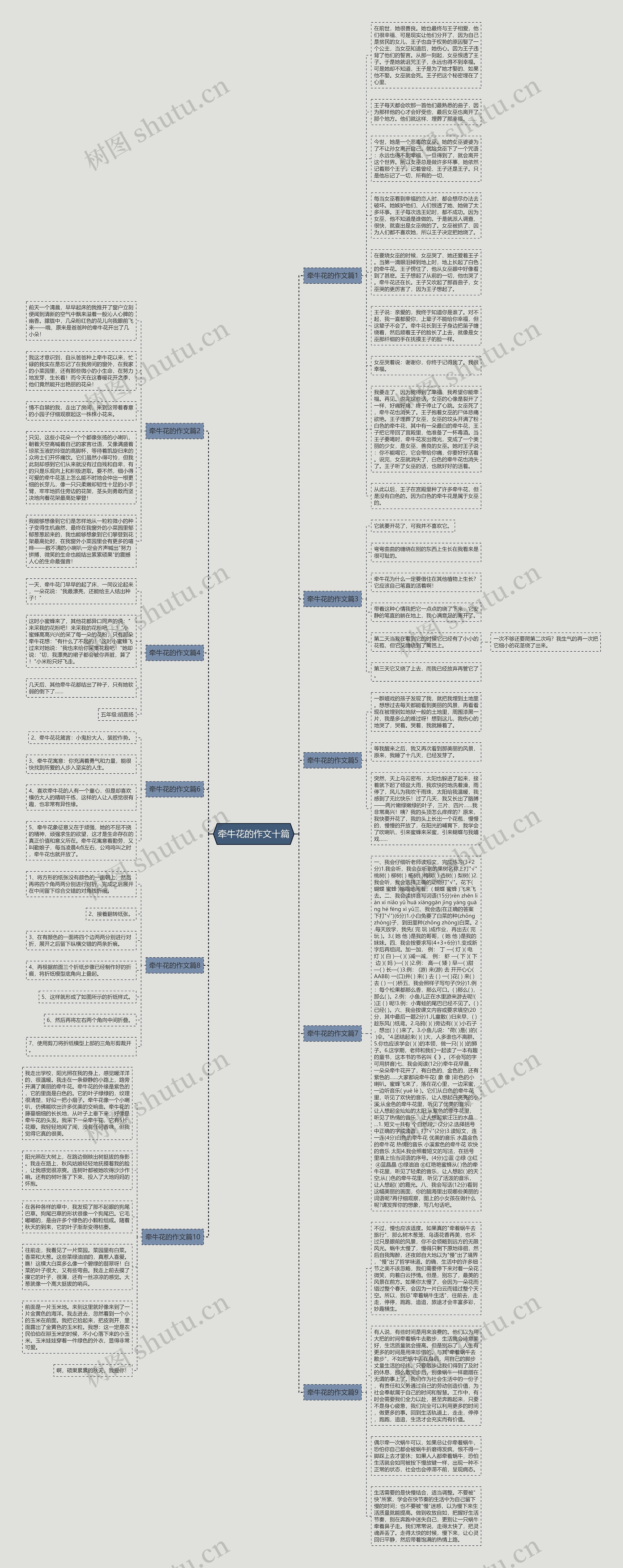 牵牛花的作文十篇思维导图