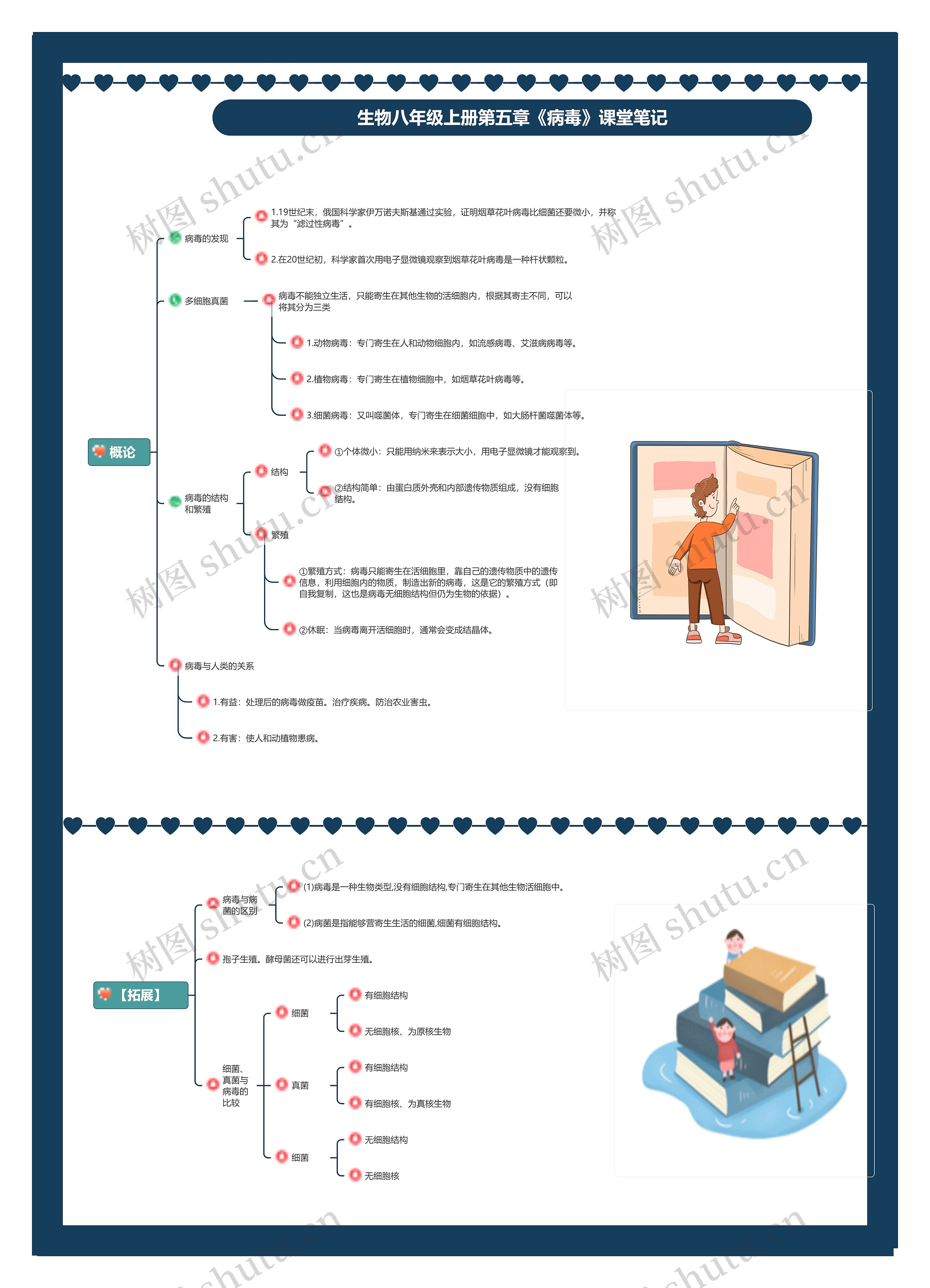 生物八年级上册第五章《病毒》课堂笔记思维导图
