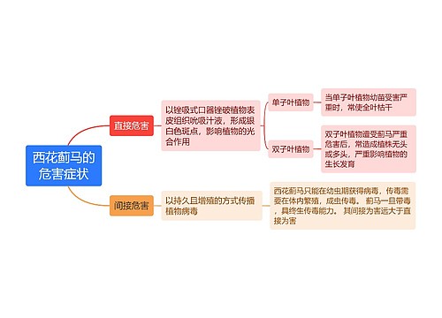 西花蓟马的危害症状