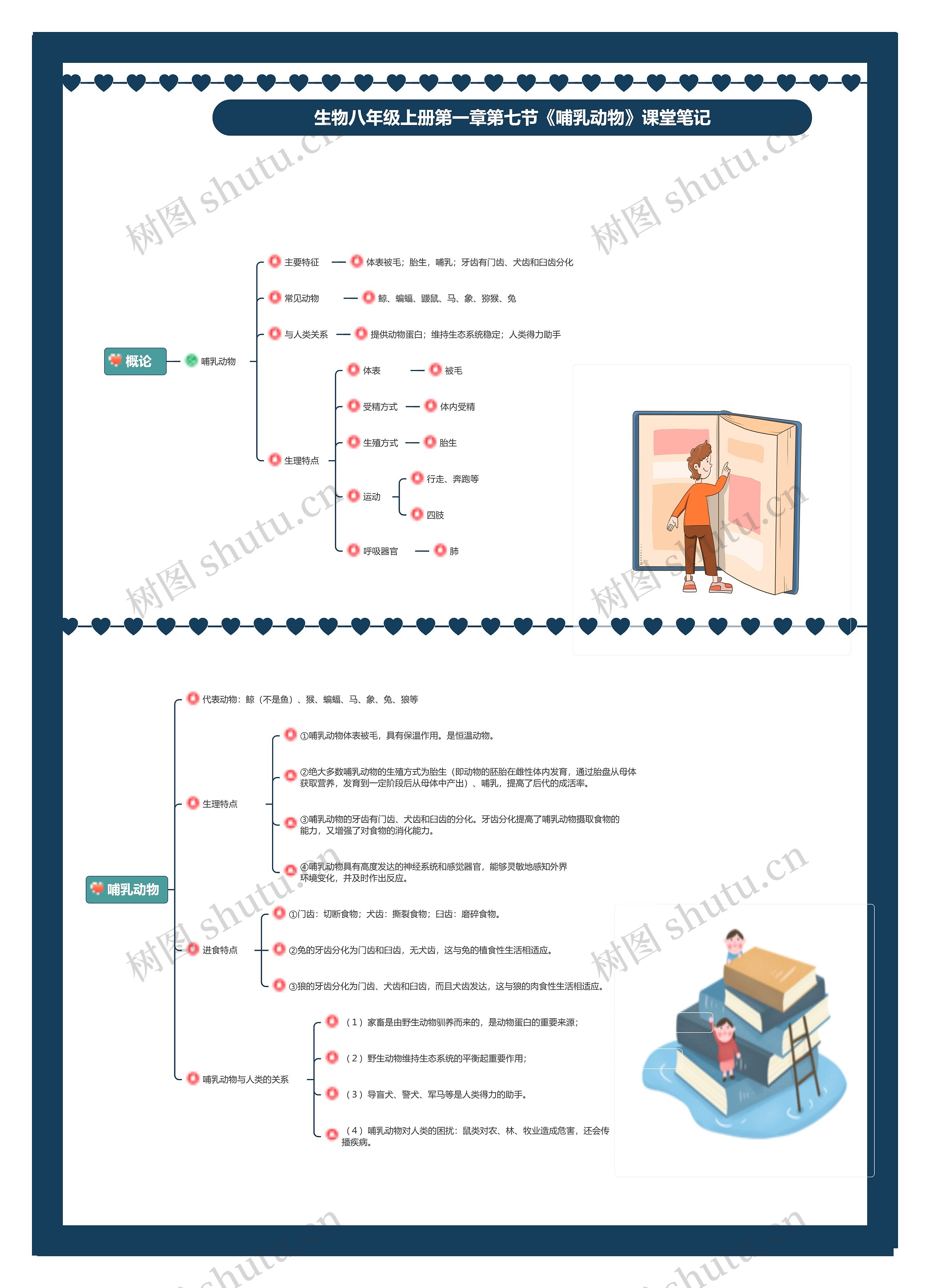 生物八年级上册第一章第七节《哺乳动物》课堂笔记思维导图
