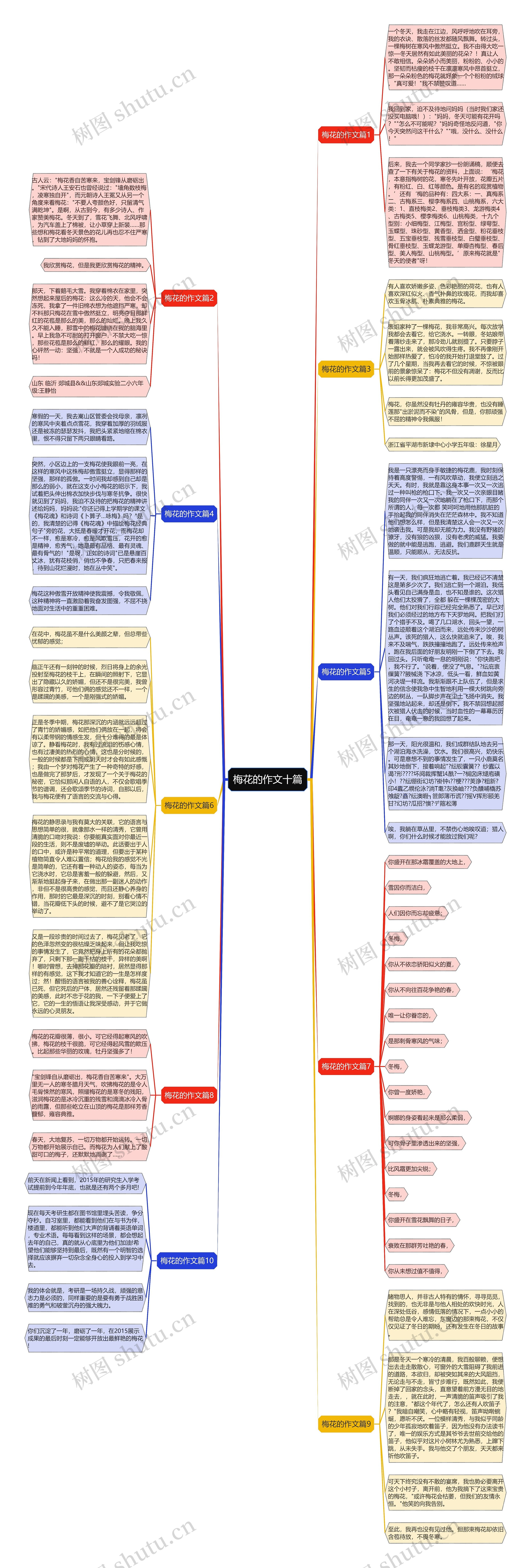 梅花的作文十篇思维导图