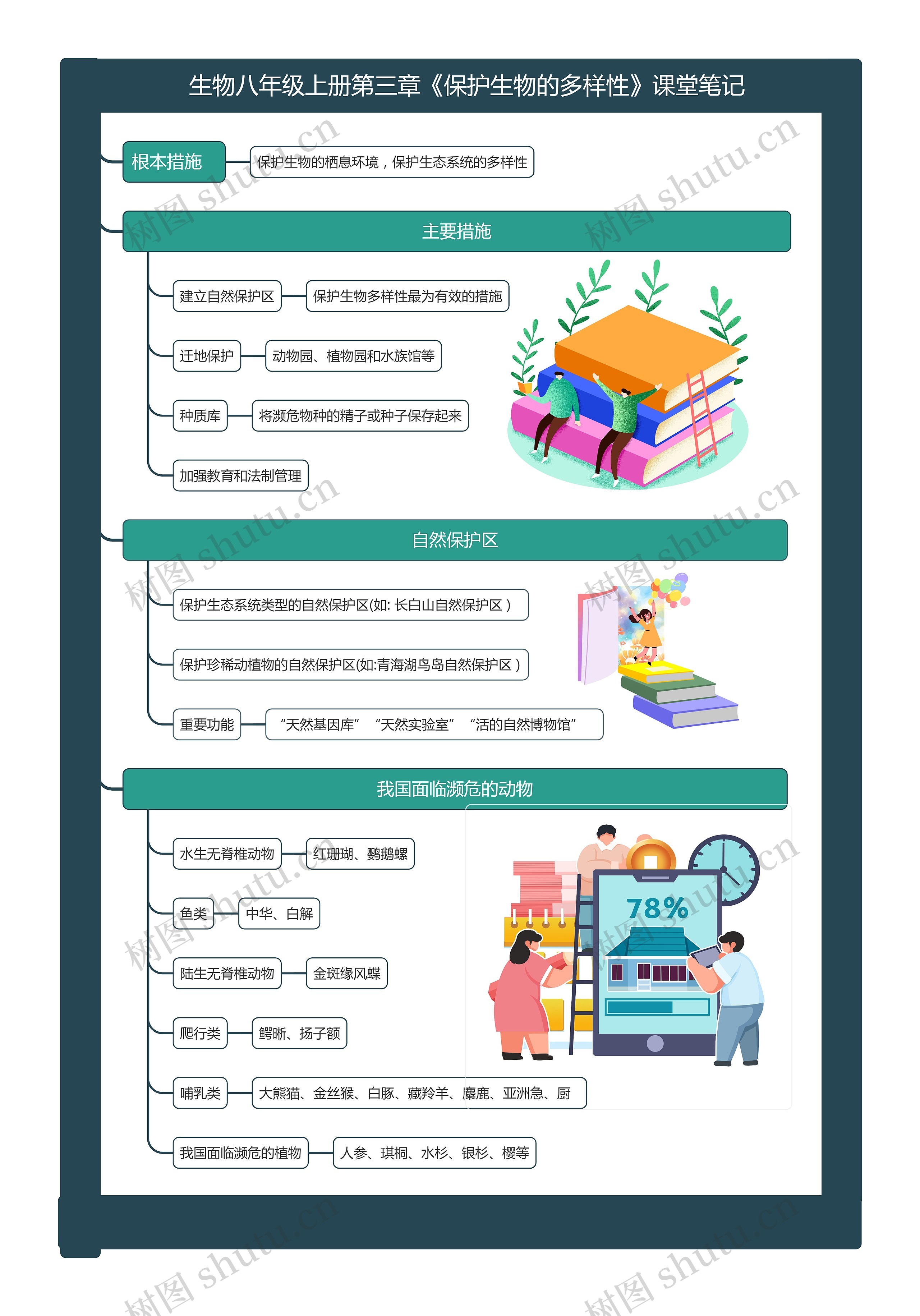 生物八年级上册第三章《保护生物的多样性》课堂笔记思维导图