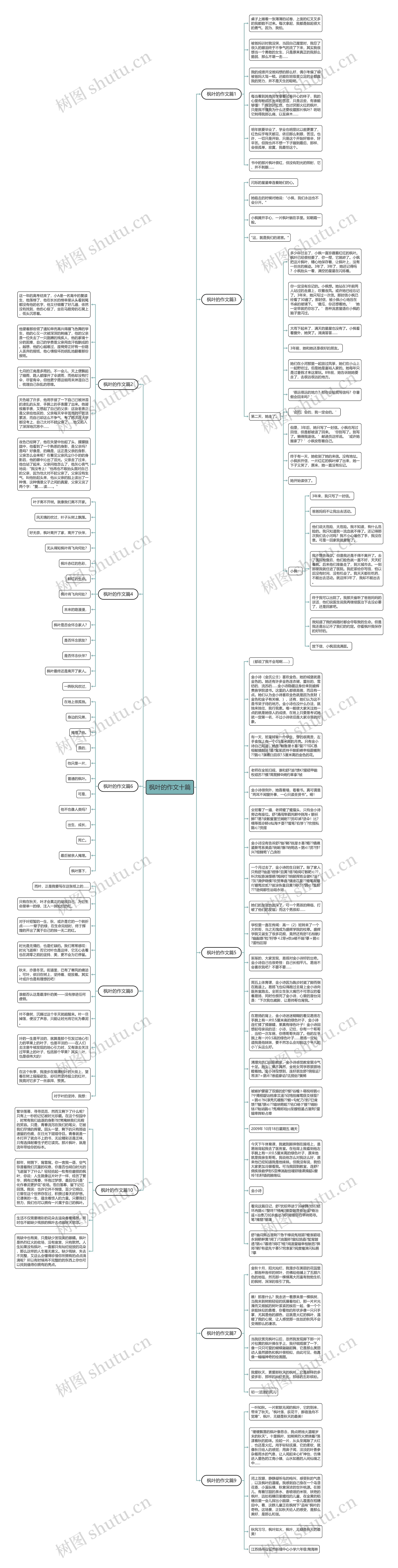 枫叶的作文十篇思维导图