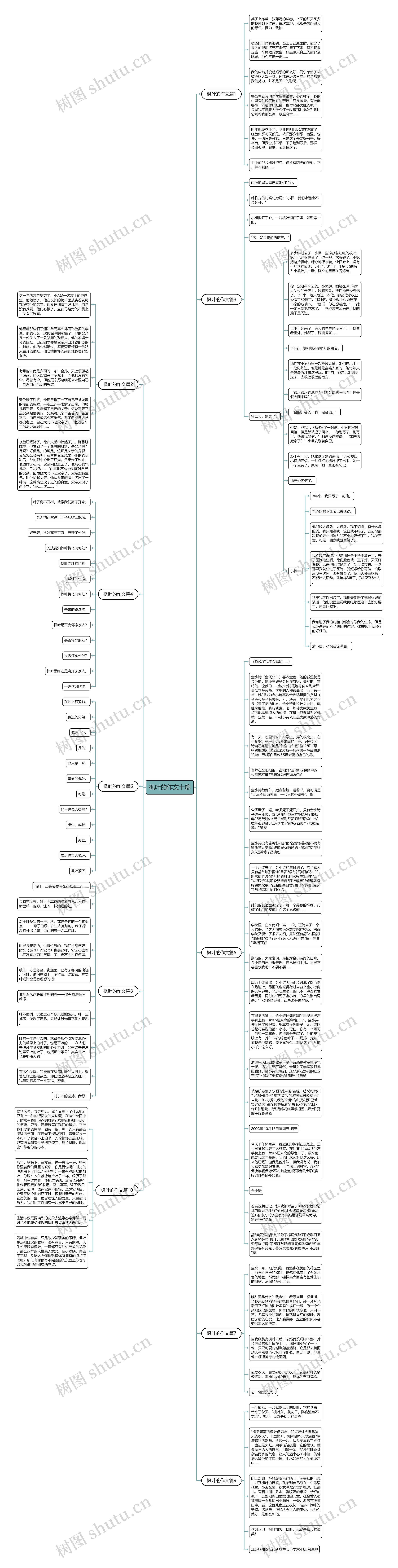 枫叶的作文十篇思维导图高清图 枫叶的作文十篇思维导图