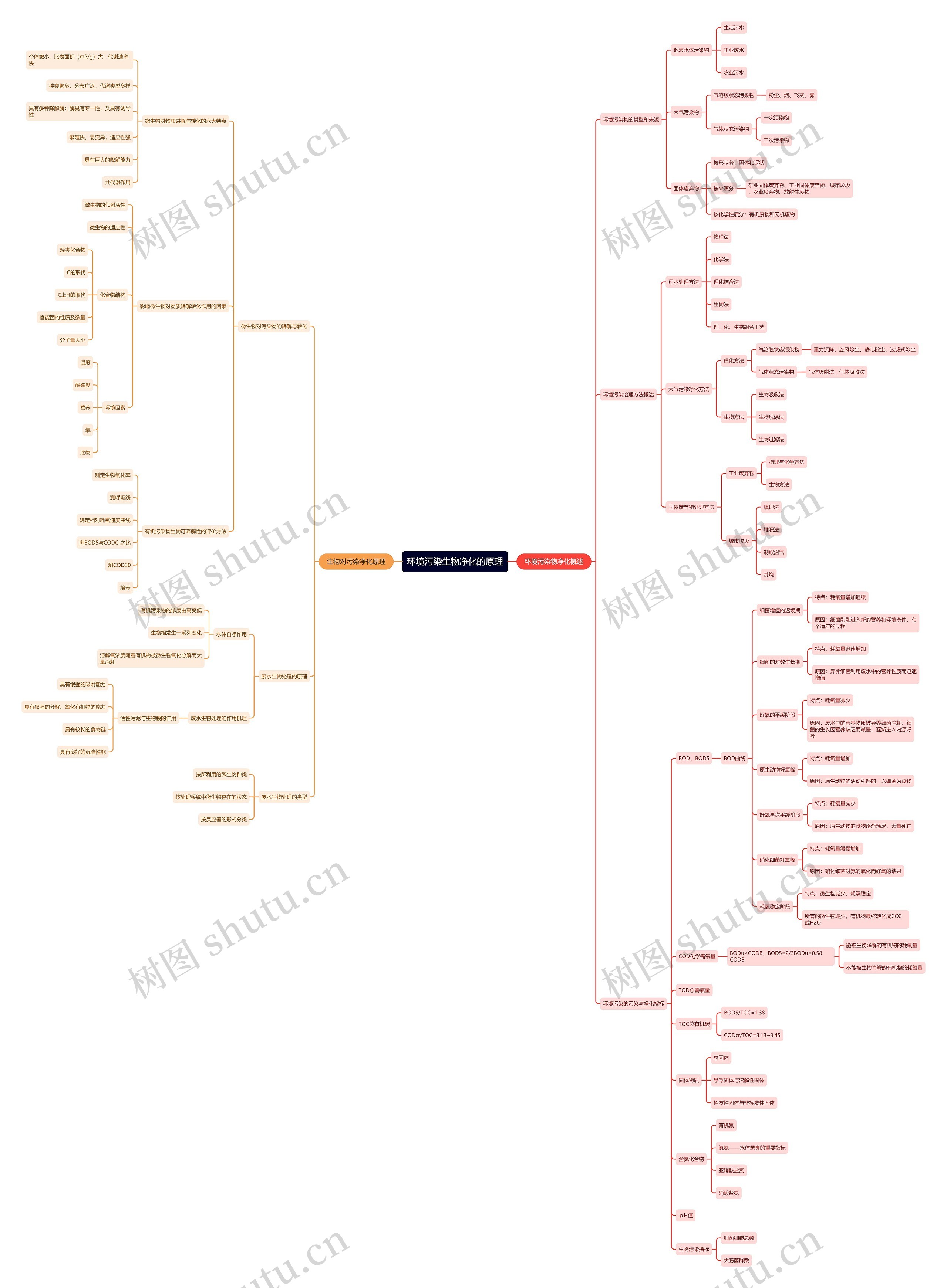 环境污染生物净化的原理思维导图