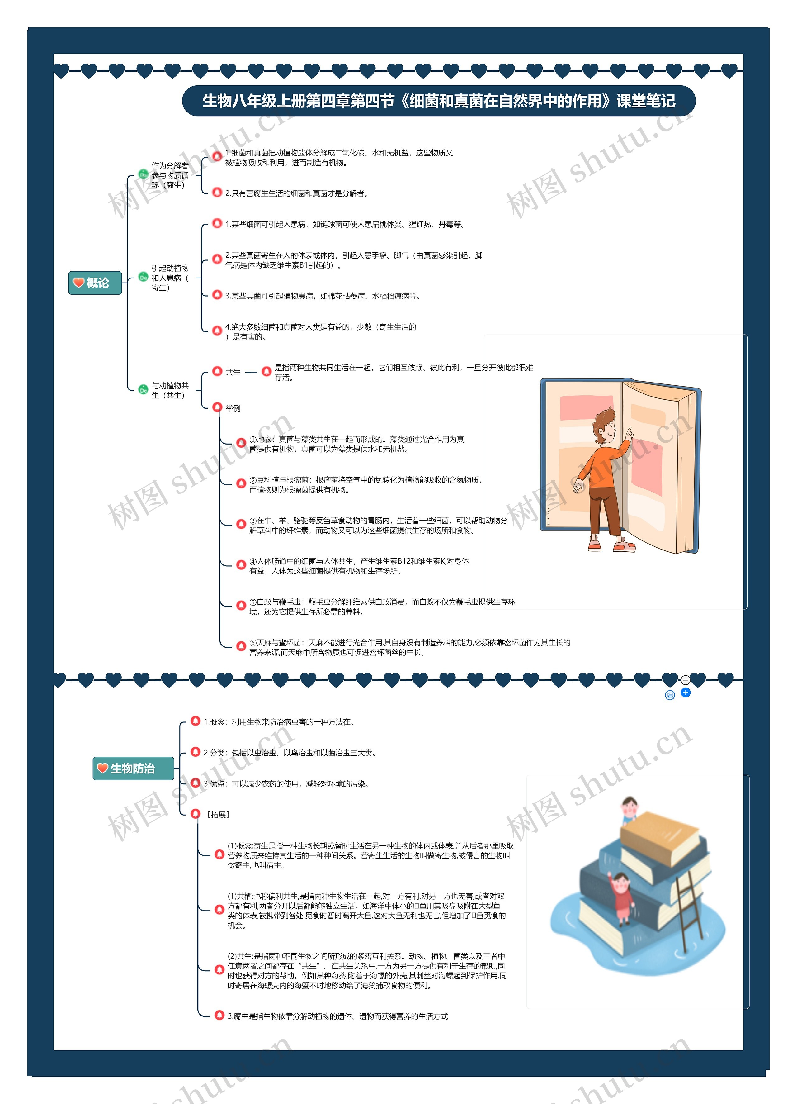 生物八年级上册第四章第四节《细菌和真菌在自然界中的作用》课堂笔记思维导图