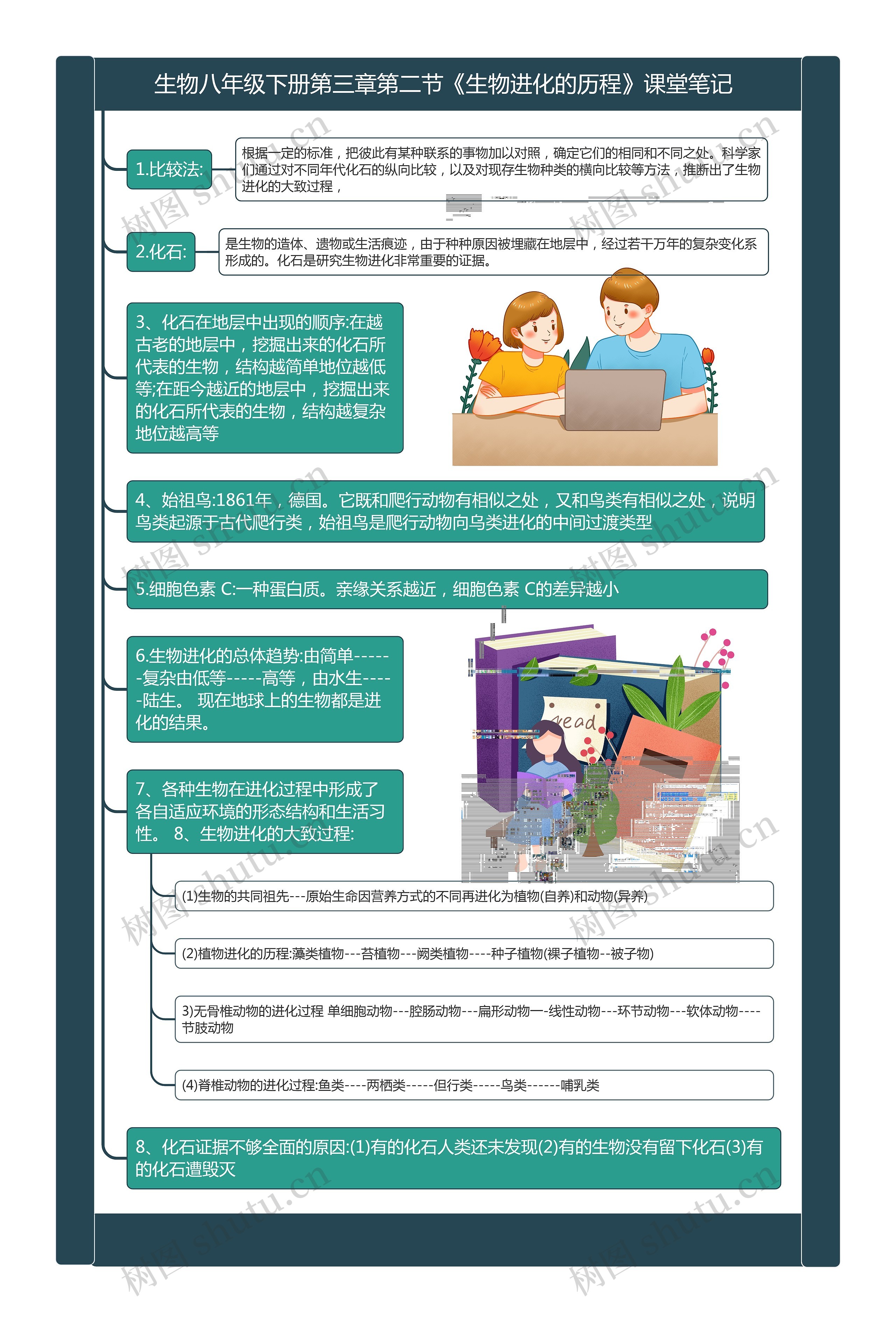 生物八年级下册第三章第二节《生物进化的历程》课堂笔记思维导图