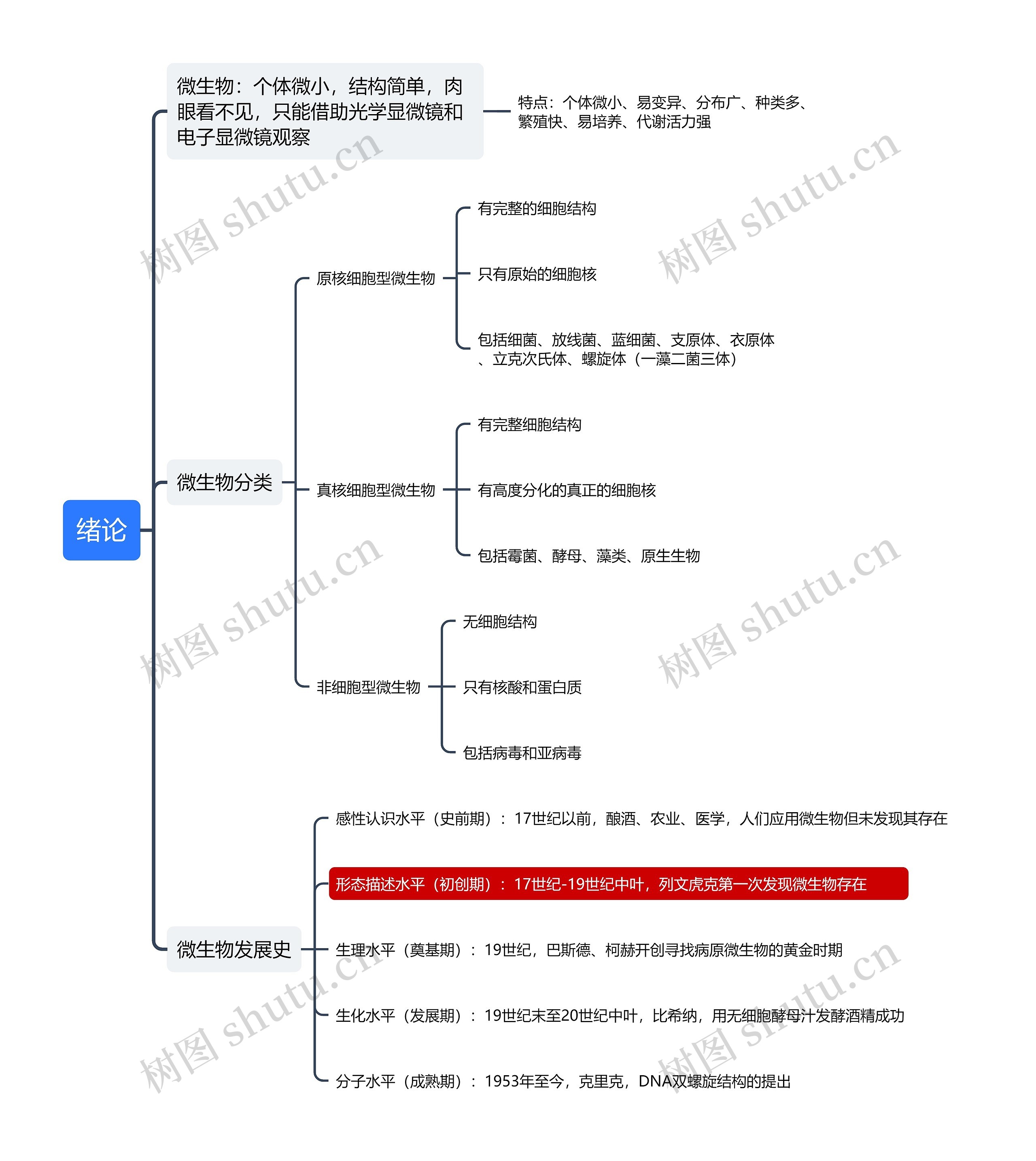 微生物绪论思维导图