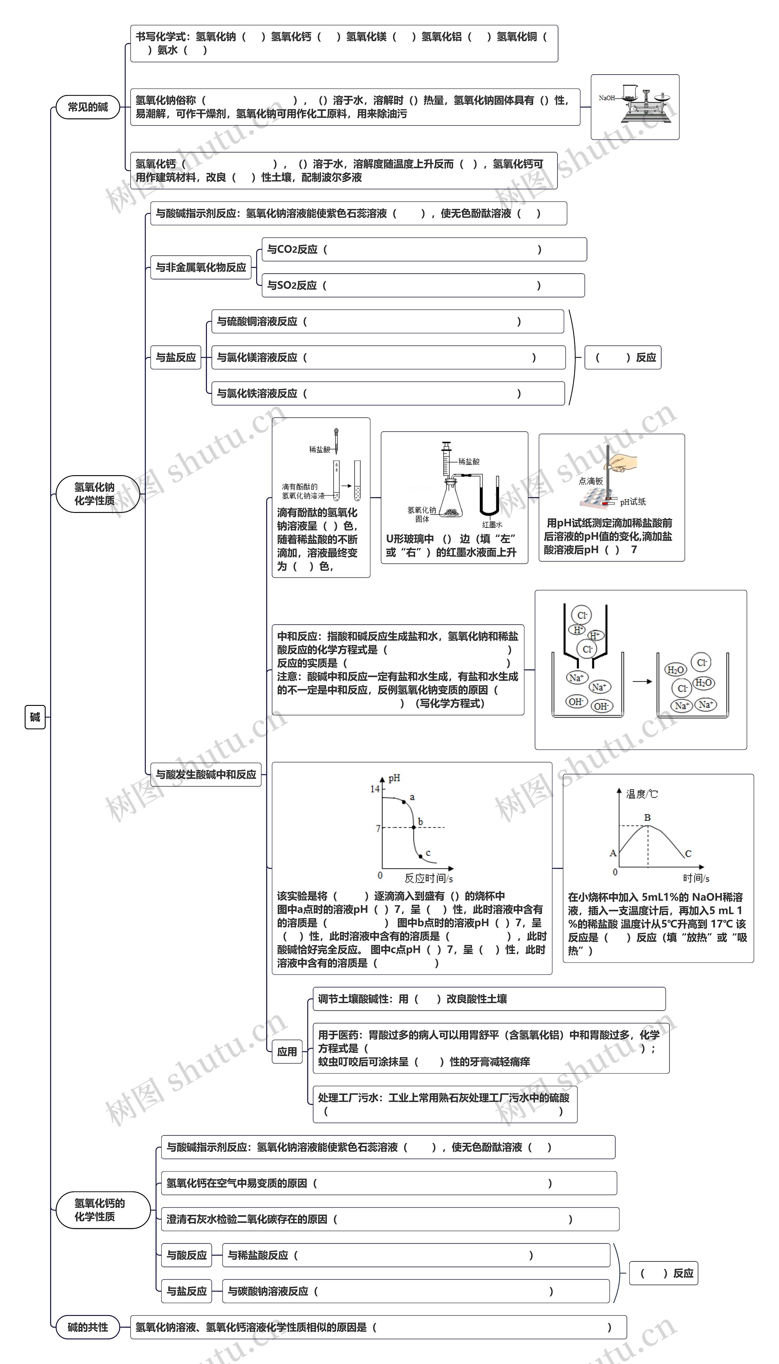 碱的化学反应考题总结思维导图