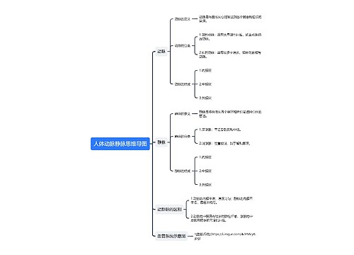 人体动脉静脉思维导图