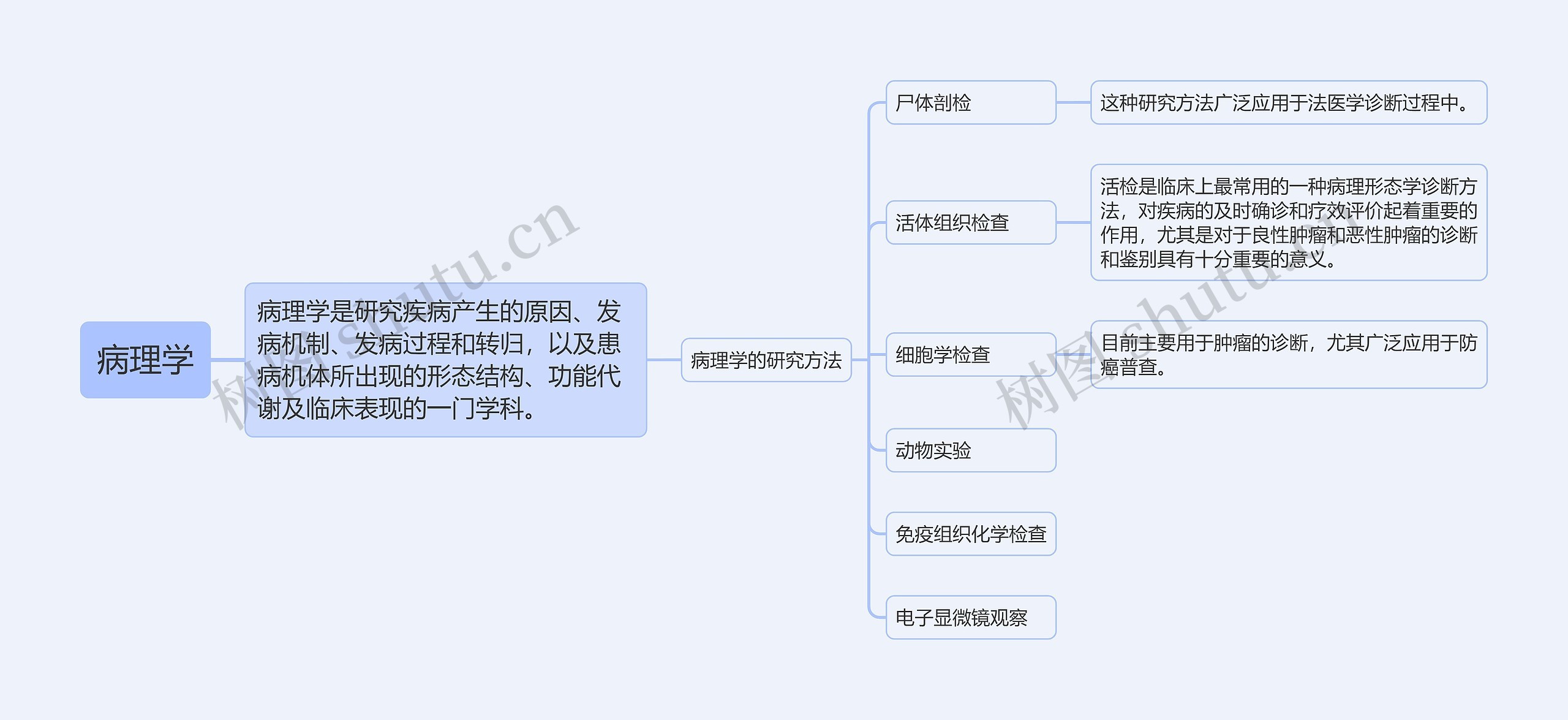 病理学绪论思维导图