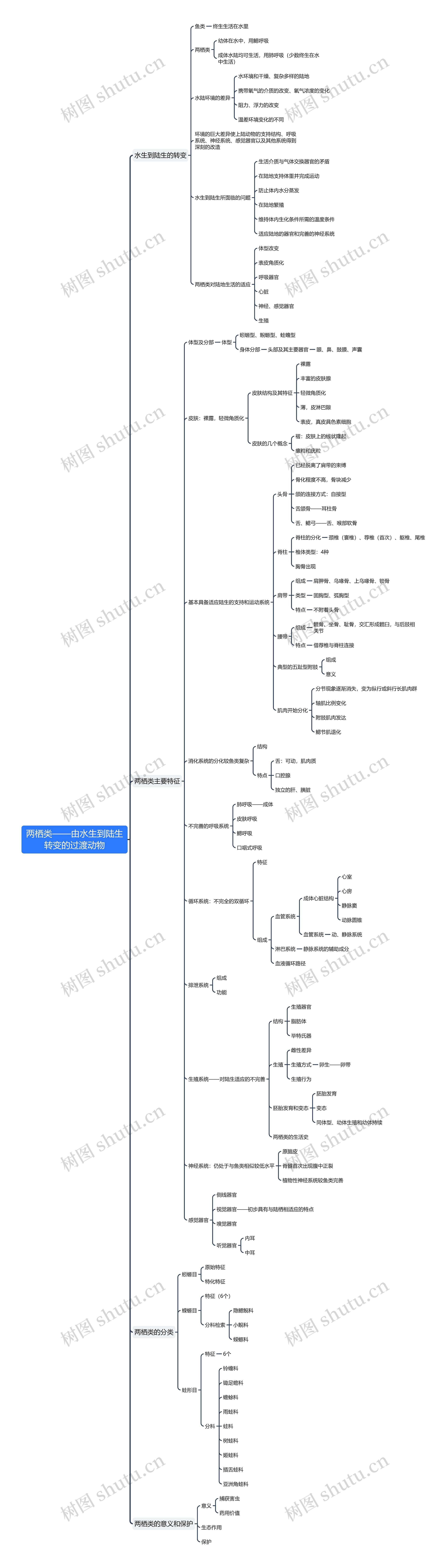 两栖类——由水生到陆生转变的过渡动物思维导图