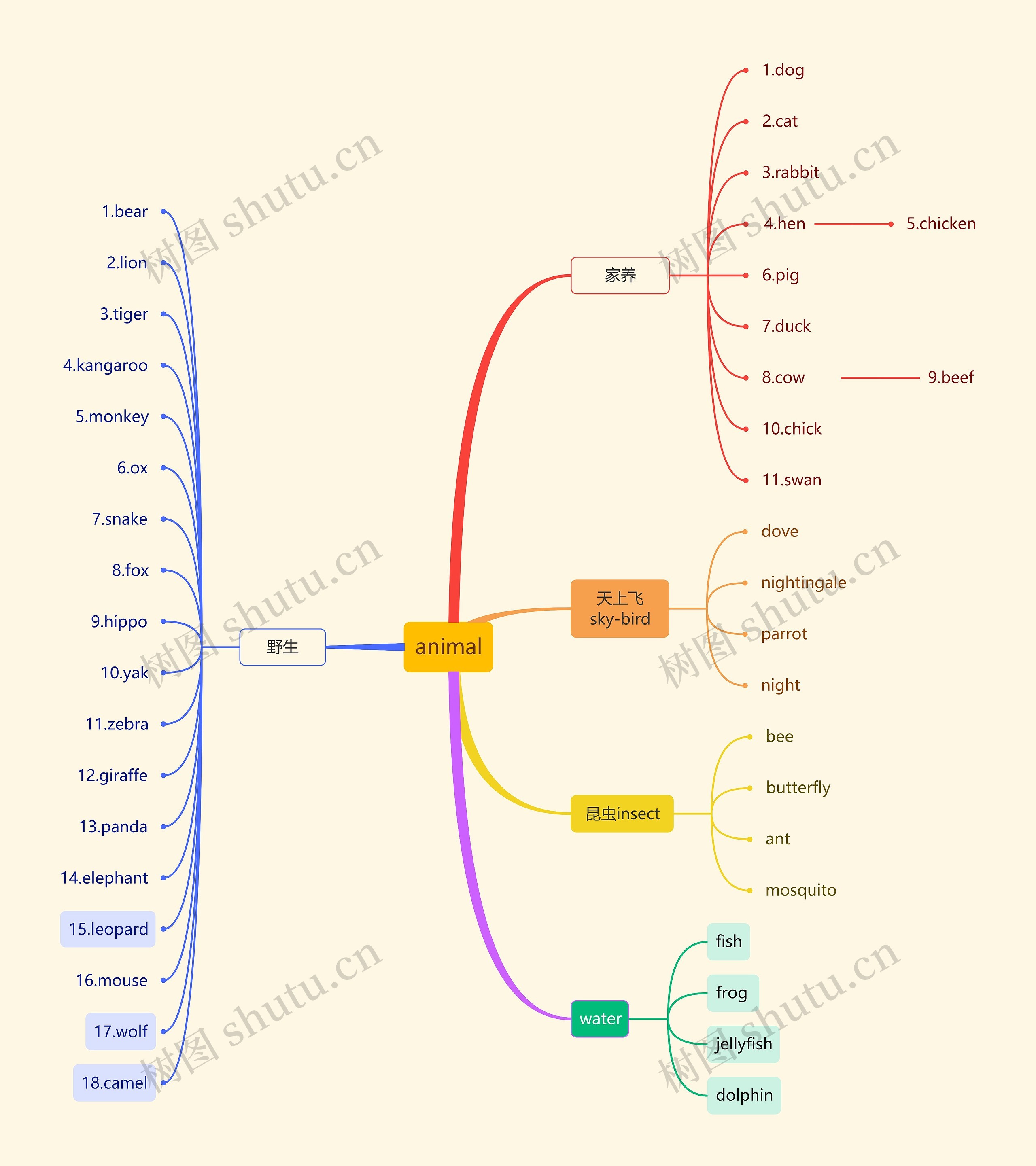 animal知识总结思维导图