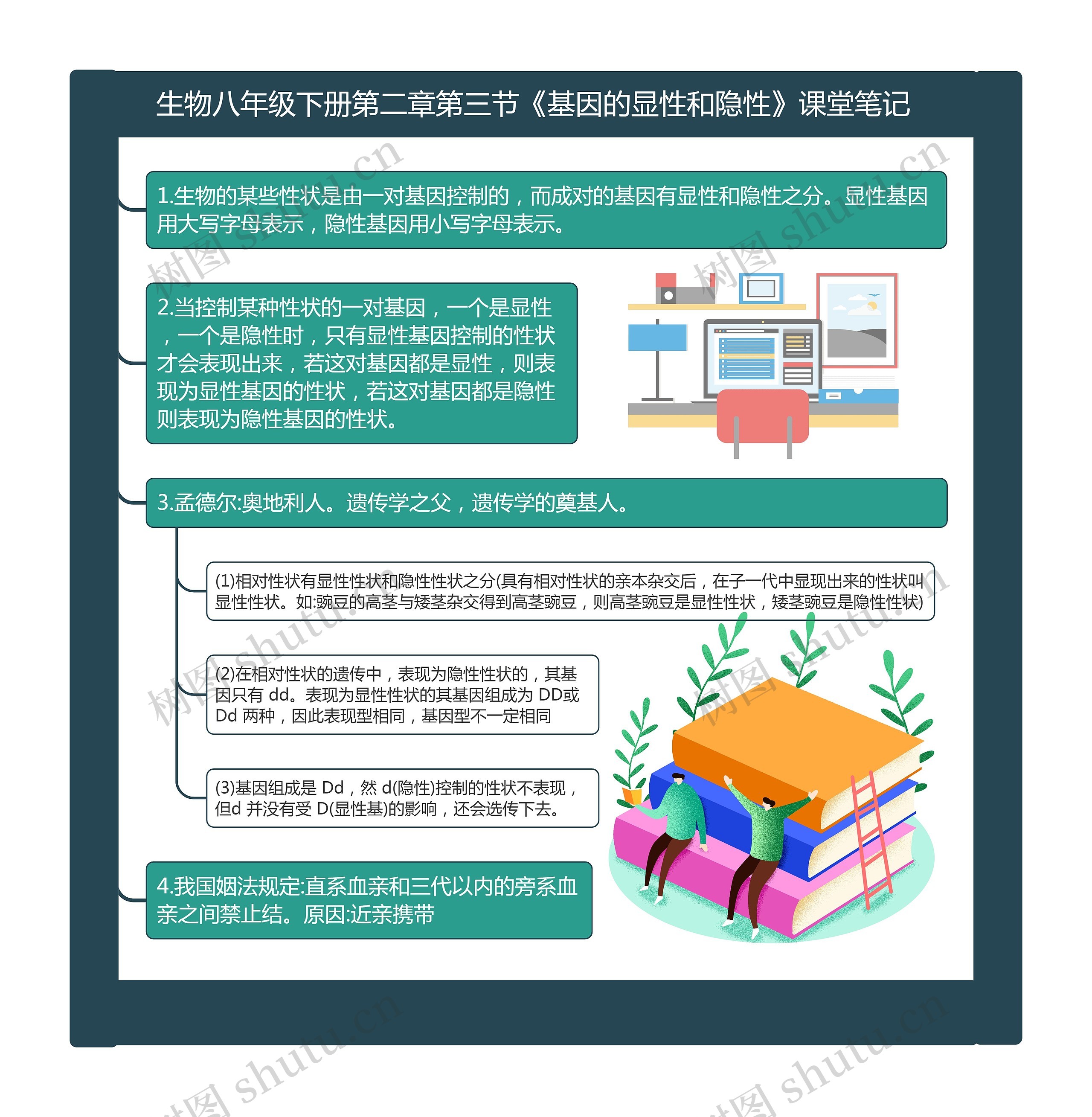 生物八年级下册第二章第三节《基因的显性和隐性》课堂笔记