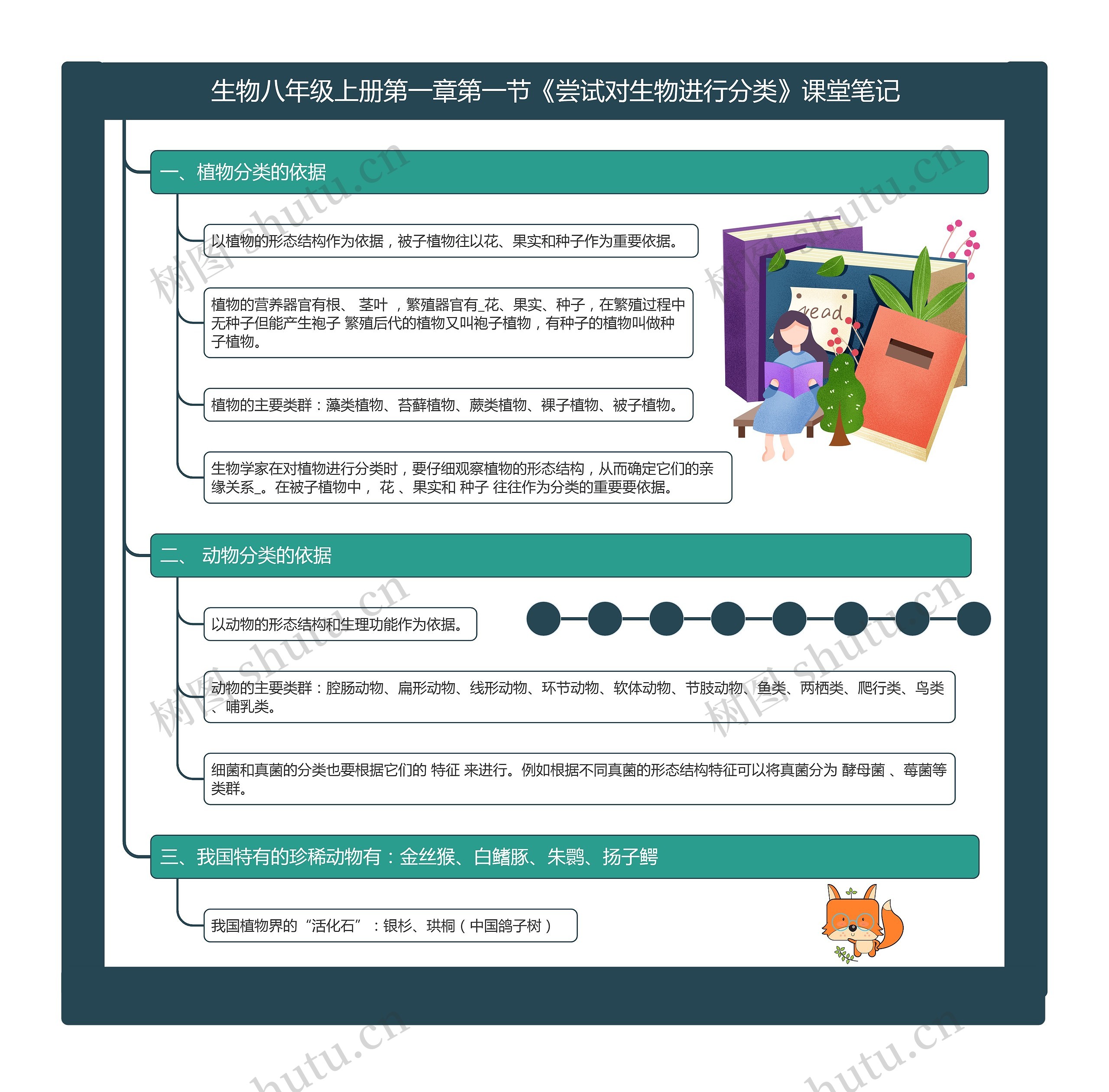 生物八年级上册第一章第一节《尝试对生物进行分类》课堂笔记