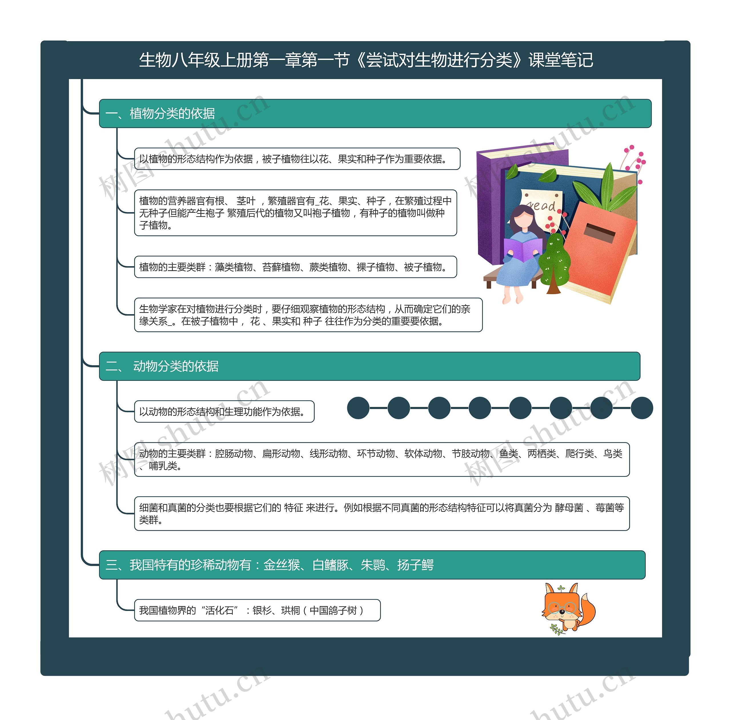 生物八年级上册第一章第一节《尝试对生物进行分类》课堂笔记思维导图