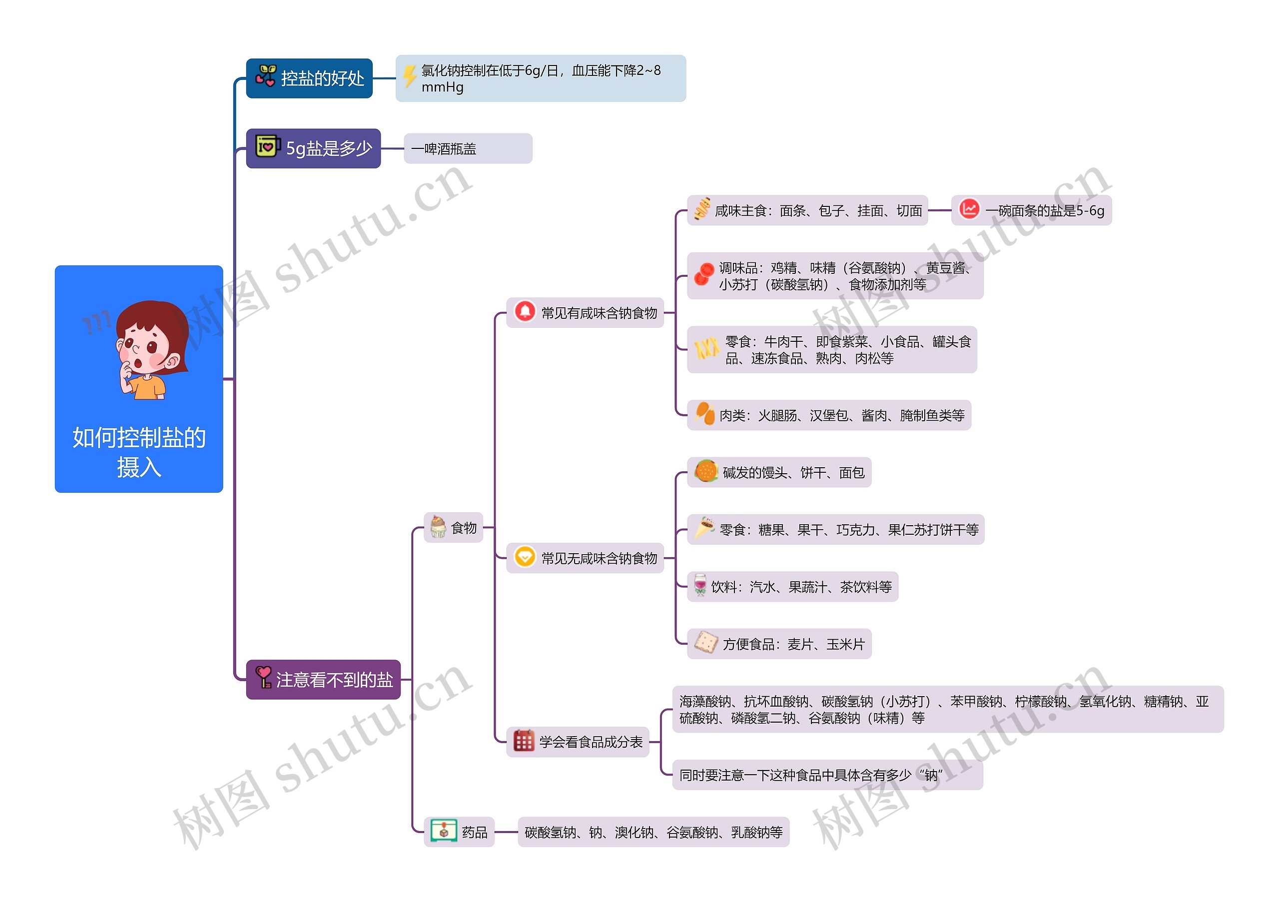 如何控制盐的摄入思维导图