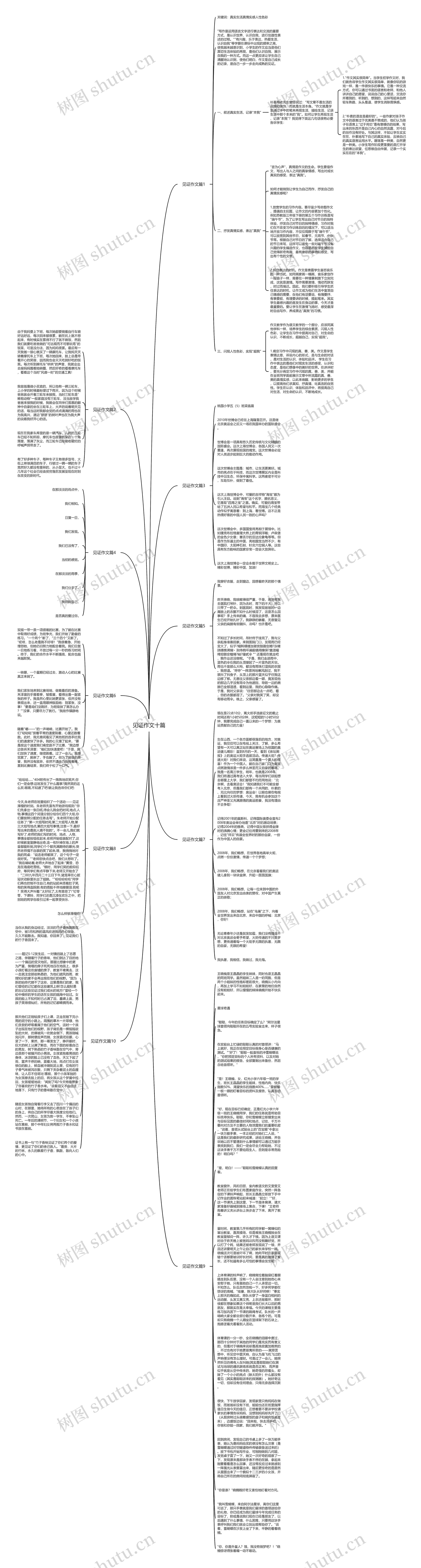 见证作文十篇思维导图