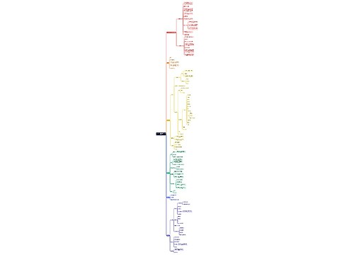 基于C++的高性能WEB开发框架