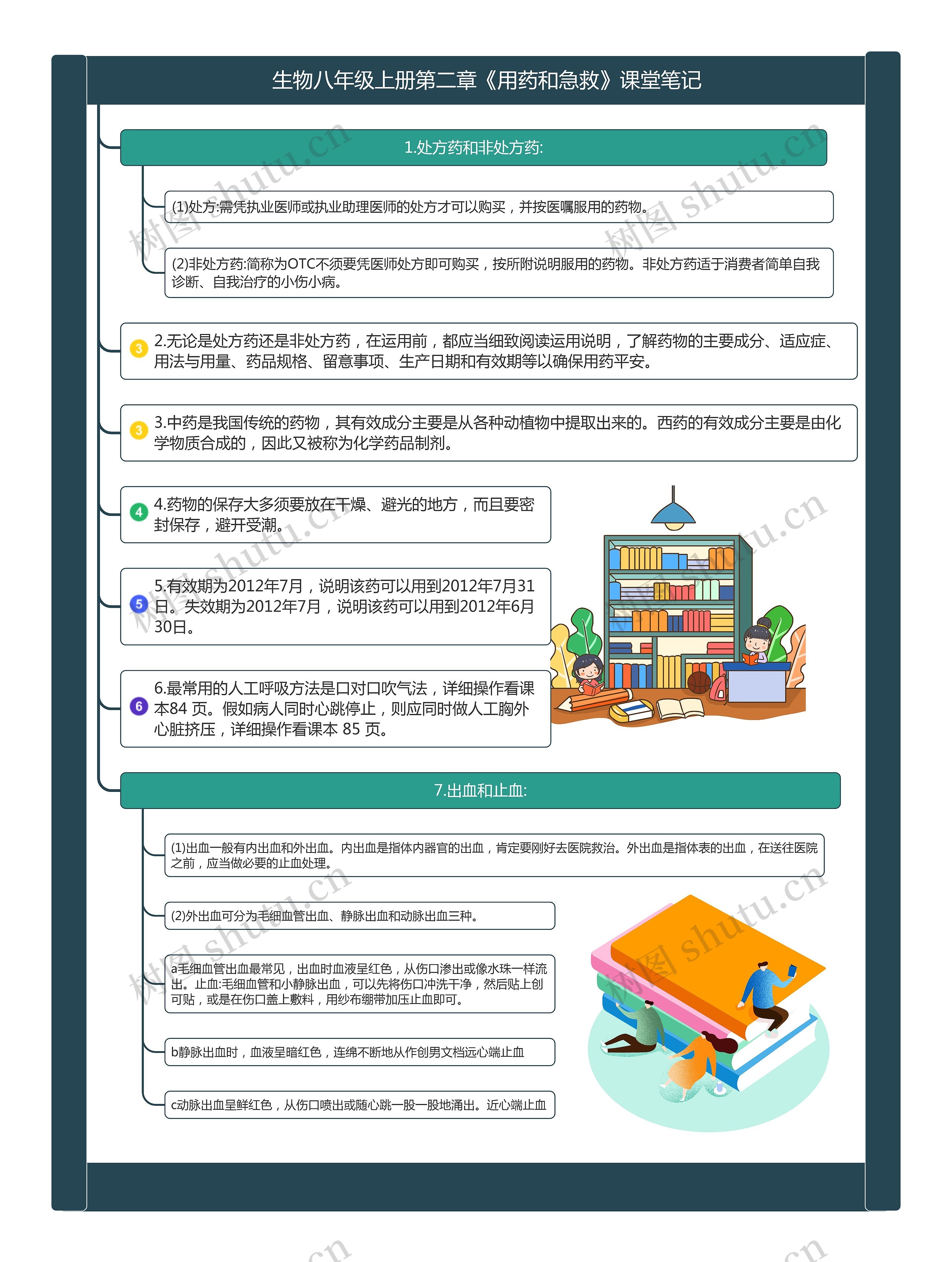 生物八年级下册第二章《用药和急救》课堂笔记思维导图