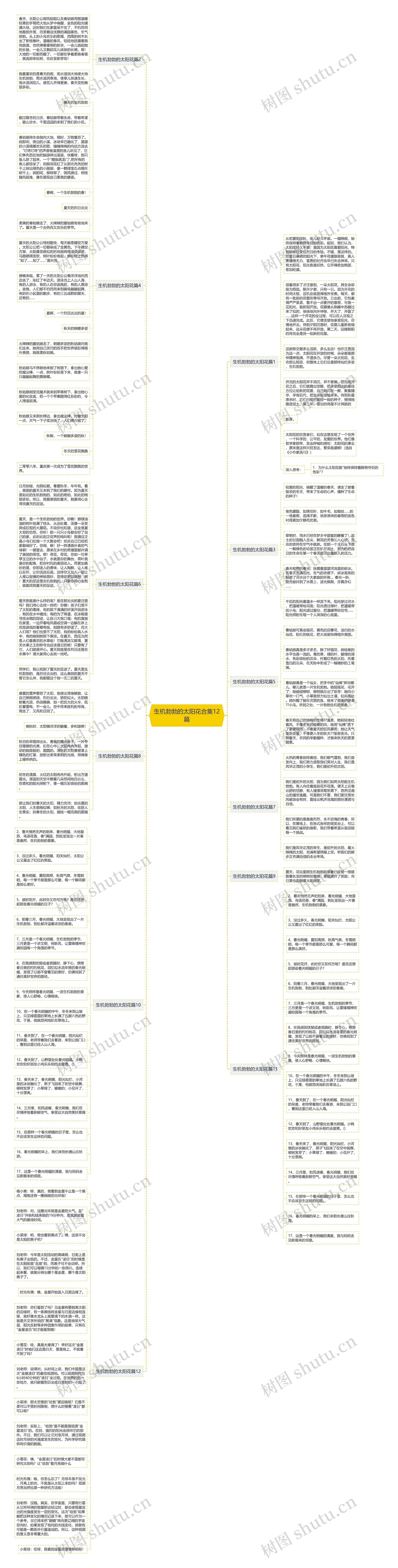 生机勃勃的太阳花合集12篇思维导图