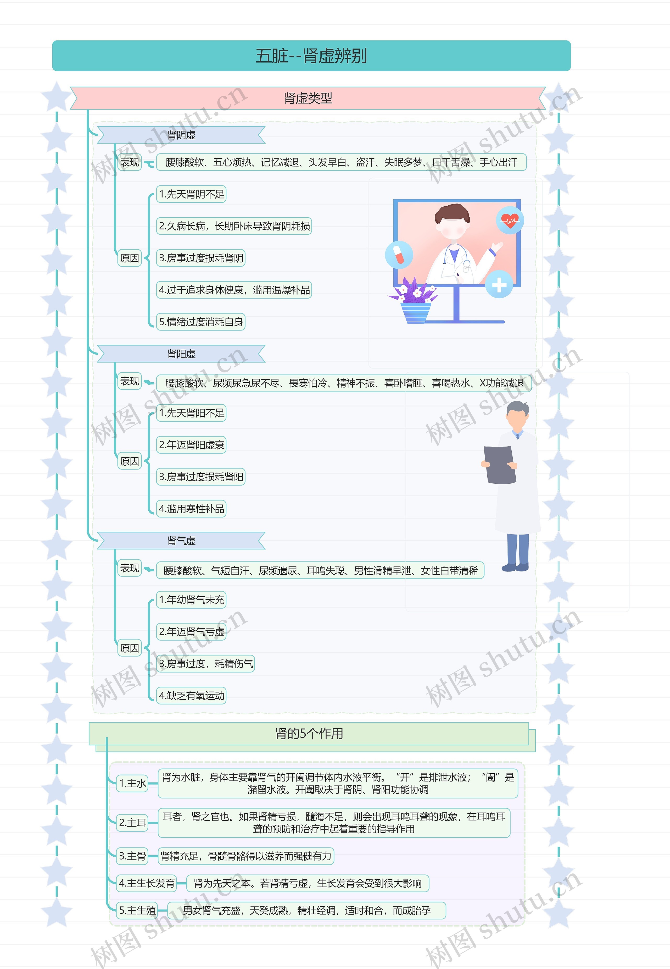 五脏--肾虚辨别思维导图