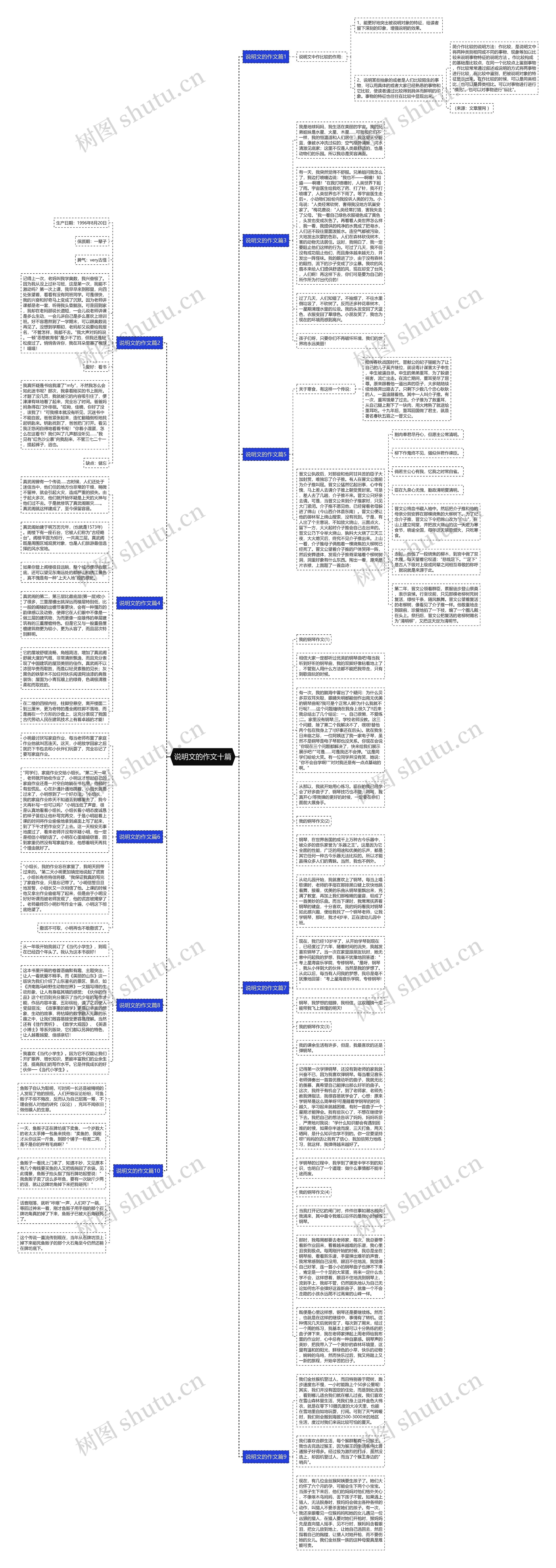 说明文的作文十篇思维导图