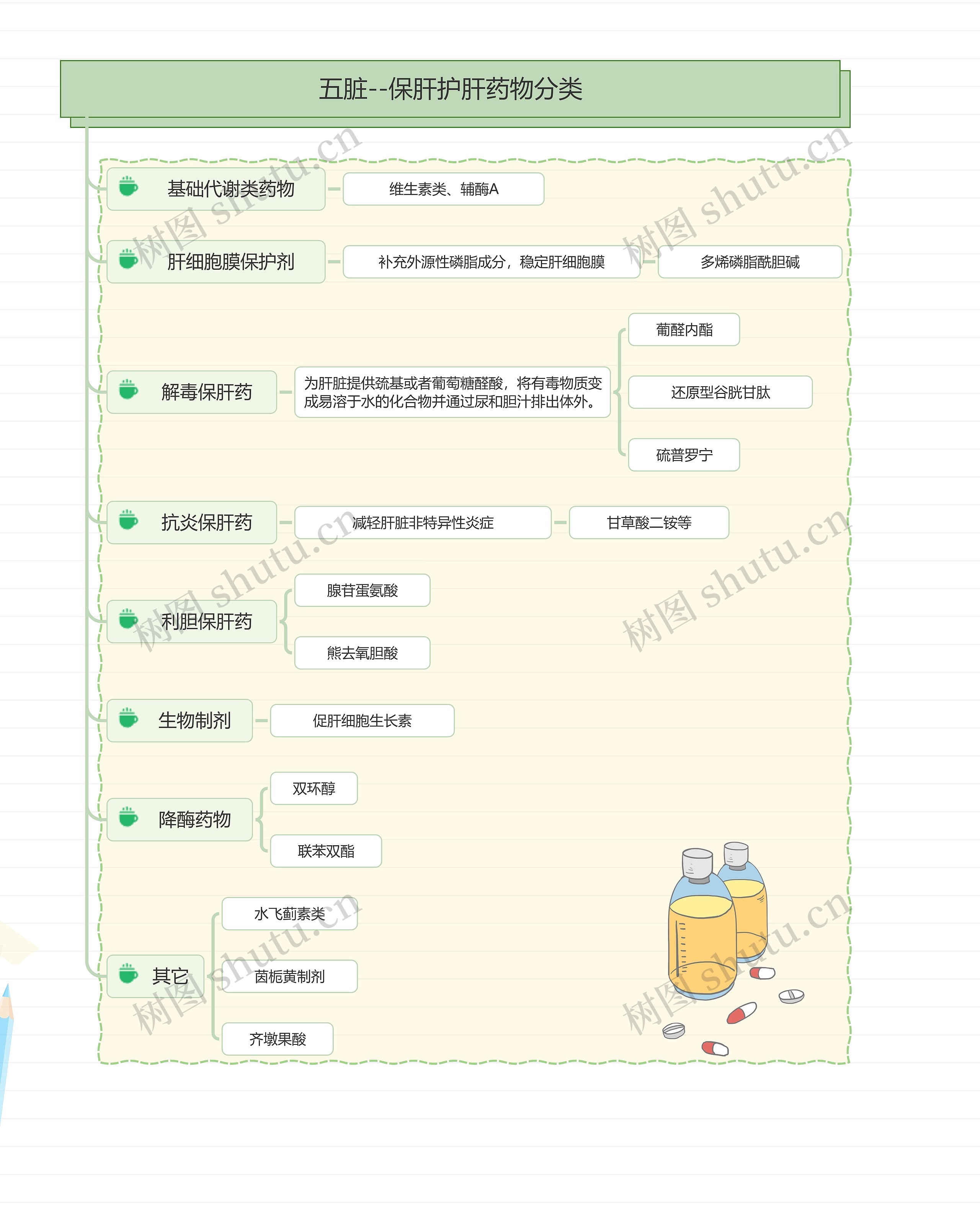 五脏--保肝护肝药物分类