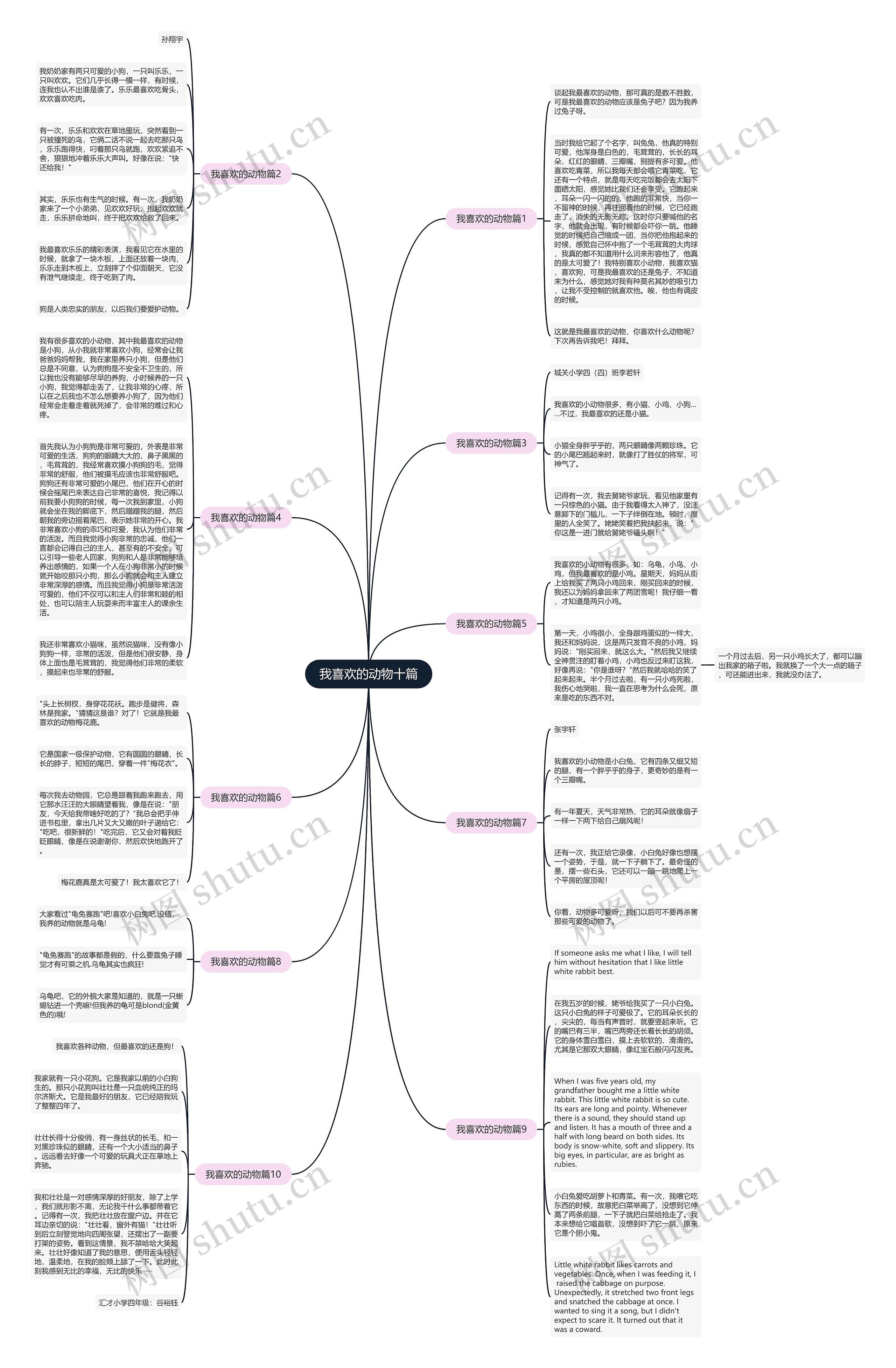 我喜欢的动物十篇思维导图