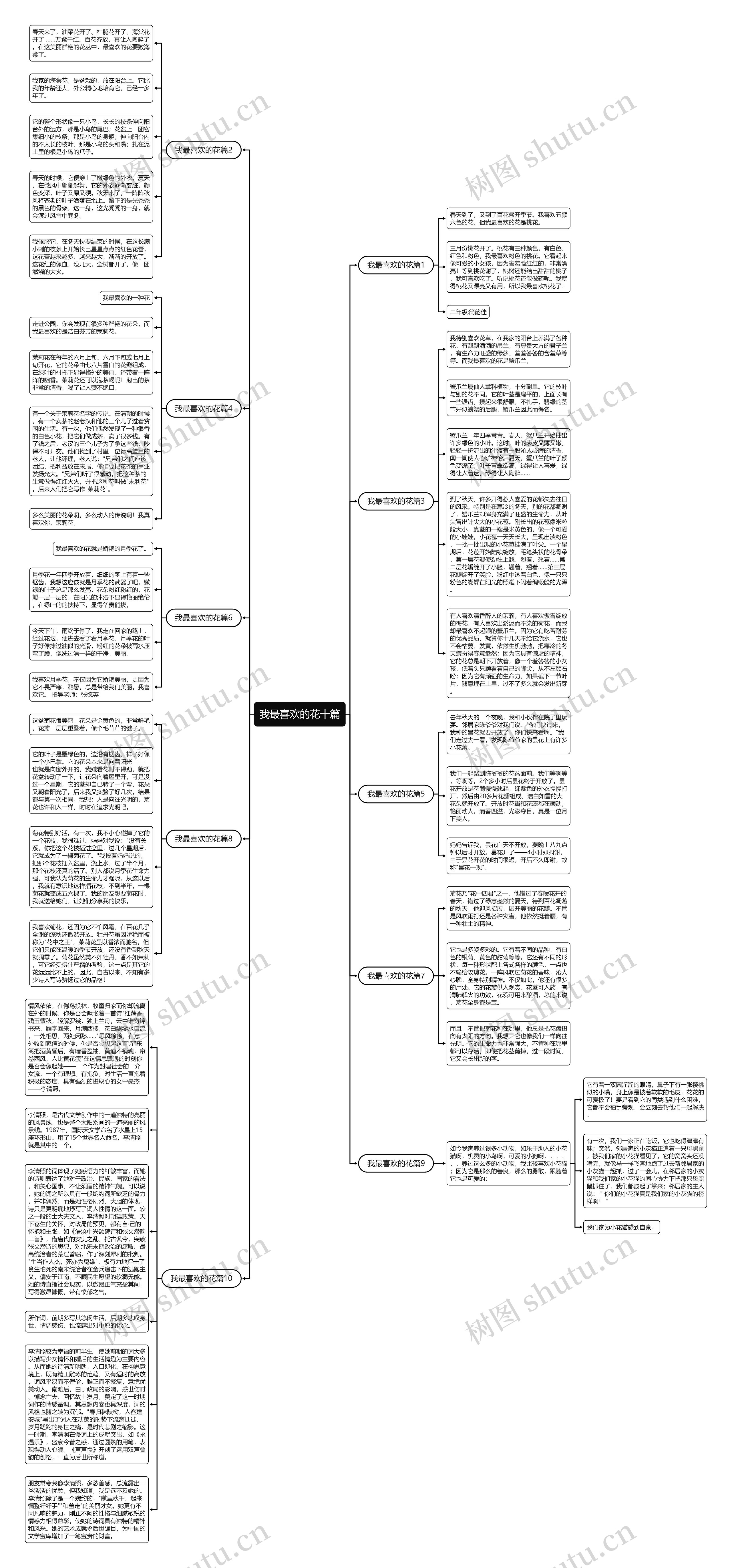 我最喜欢的花十篇思维导图