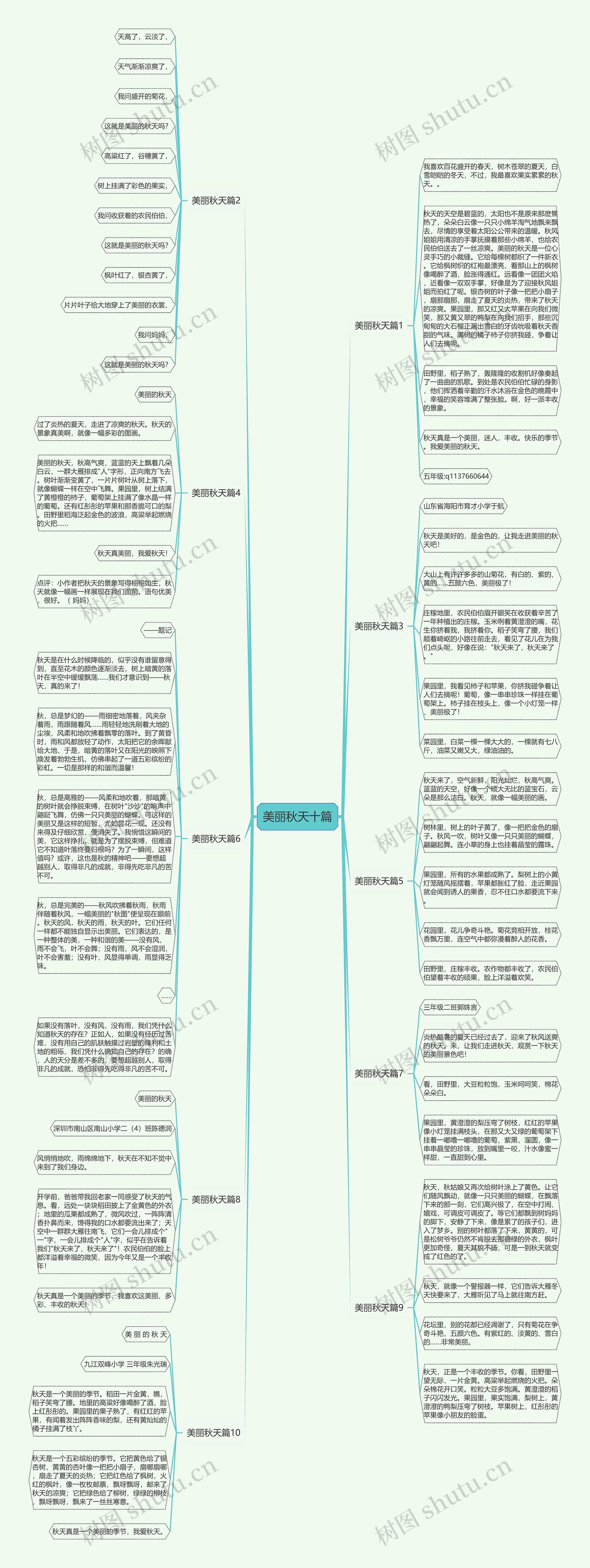 美丽秋天十篇思维导图