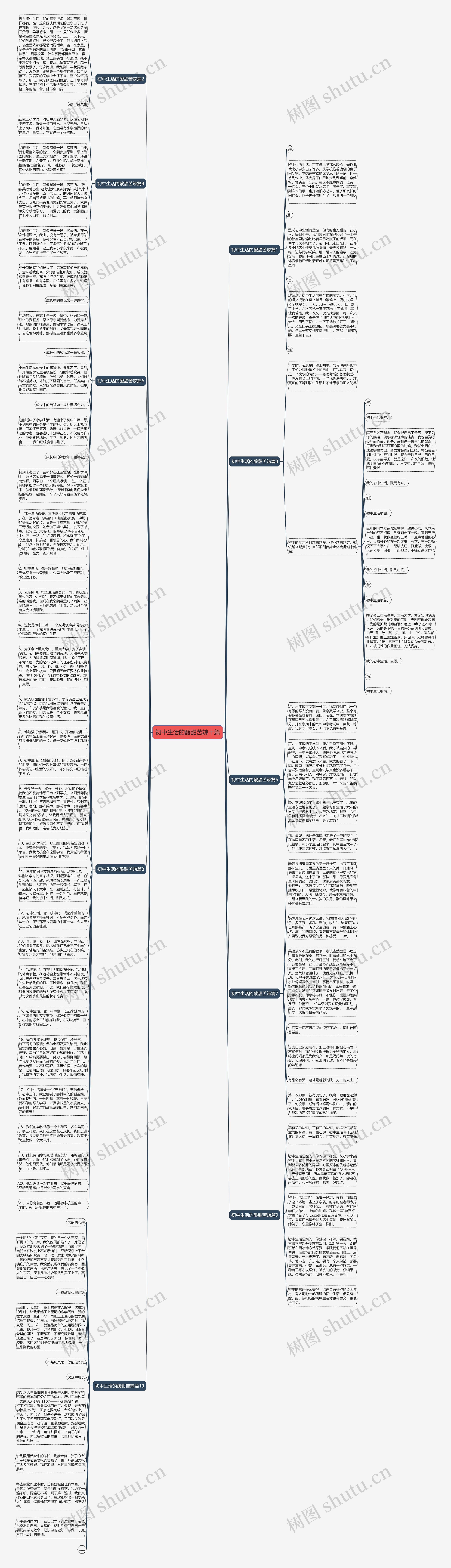 初中生活的酸甜苦辣十篇思维导图