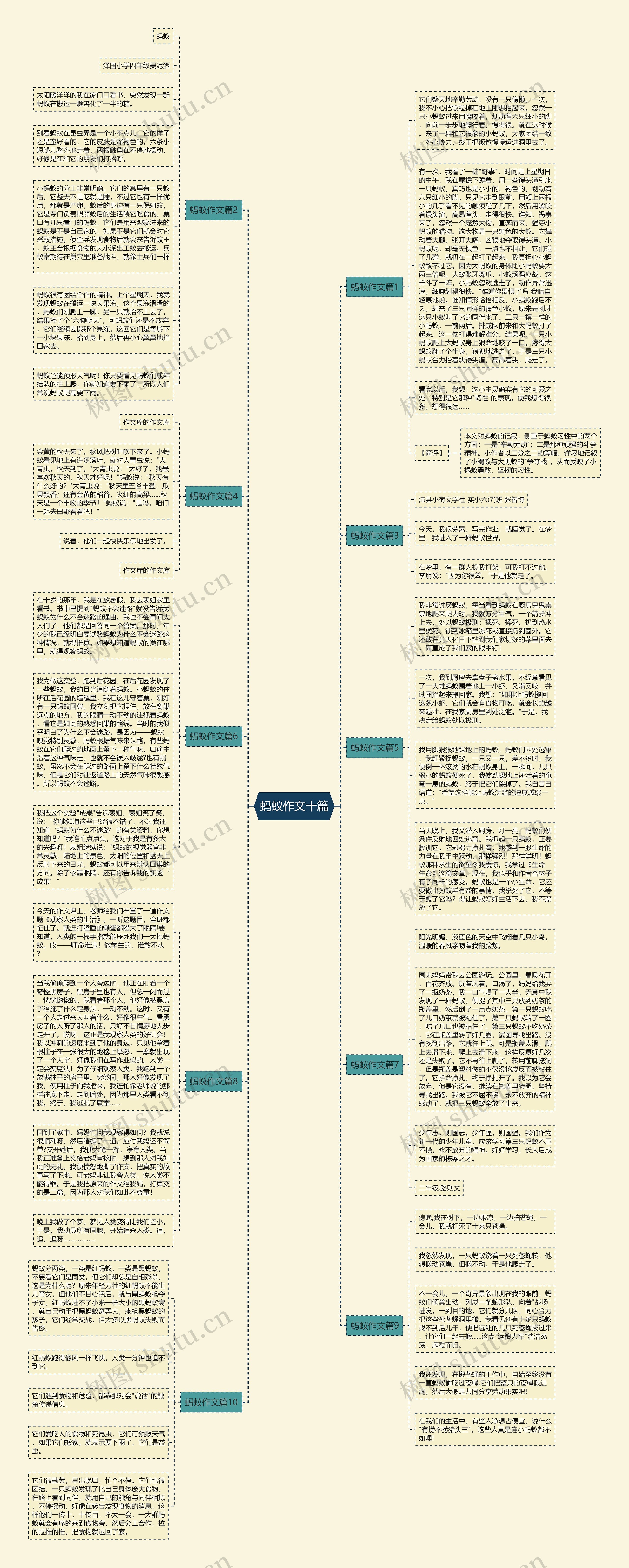 蚂蚁作文十篇思维导图