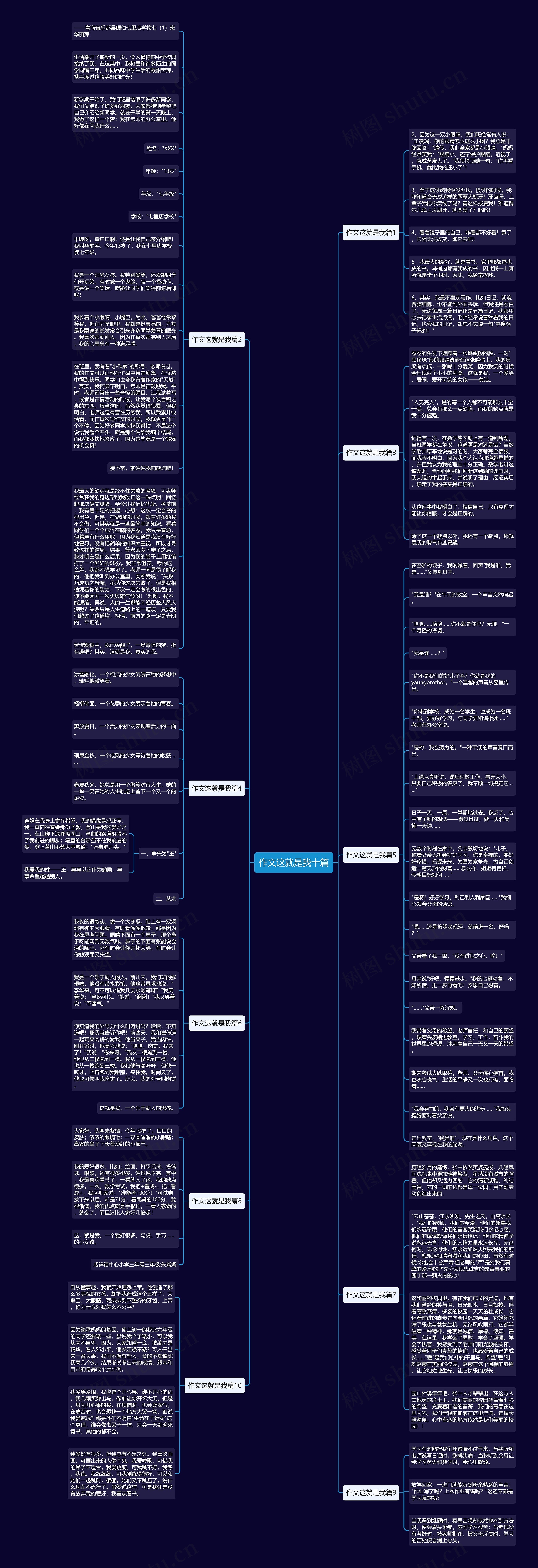 作文这就是我十篇思维导图