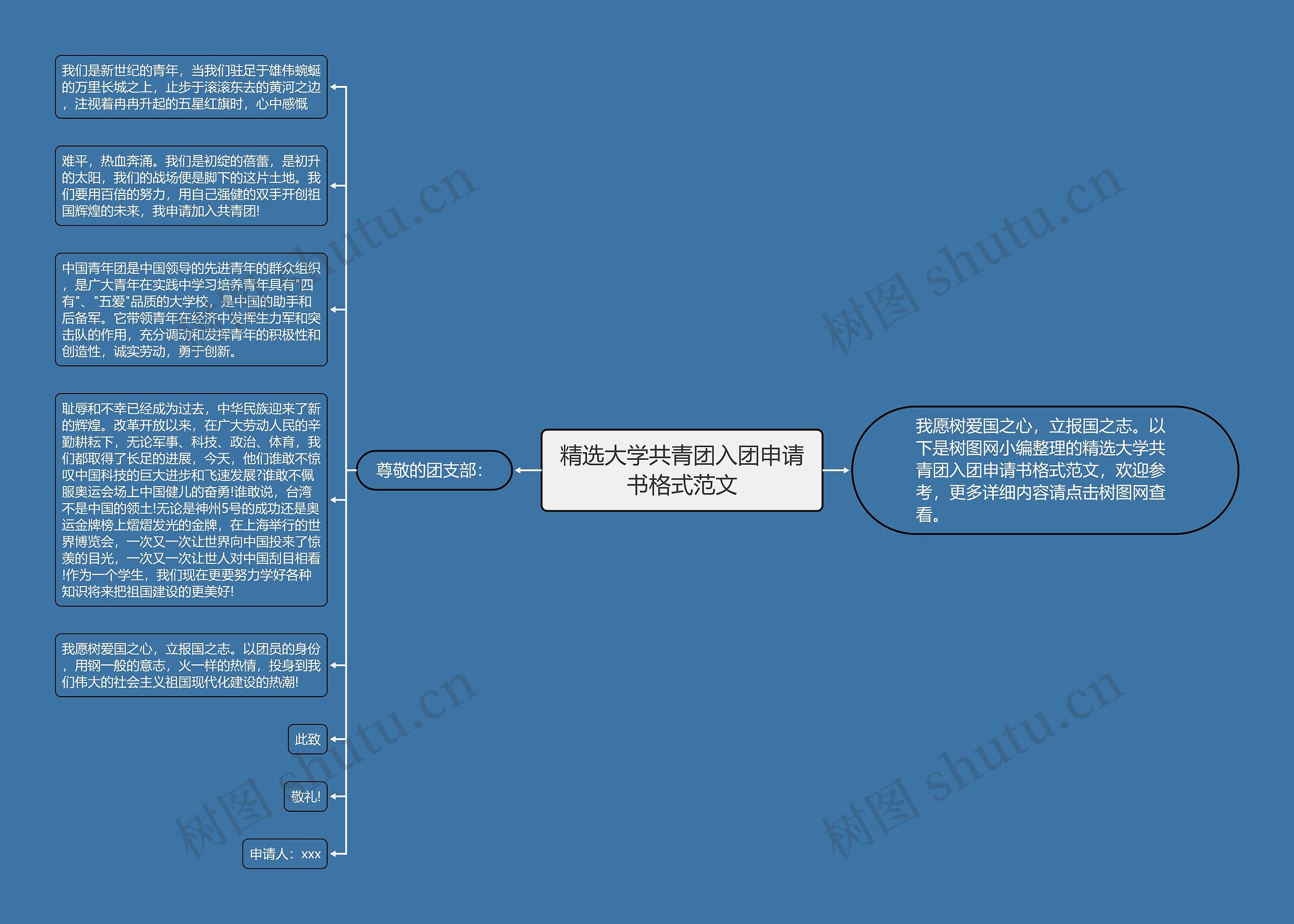 精选大学共青团入团申请书格式范文