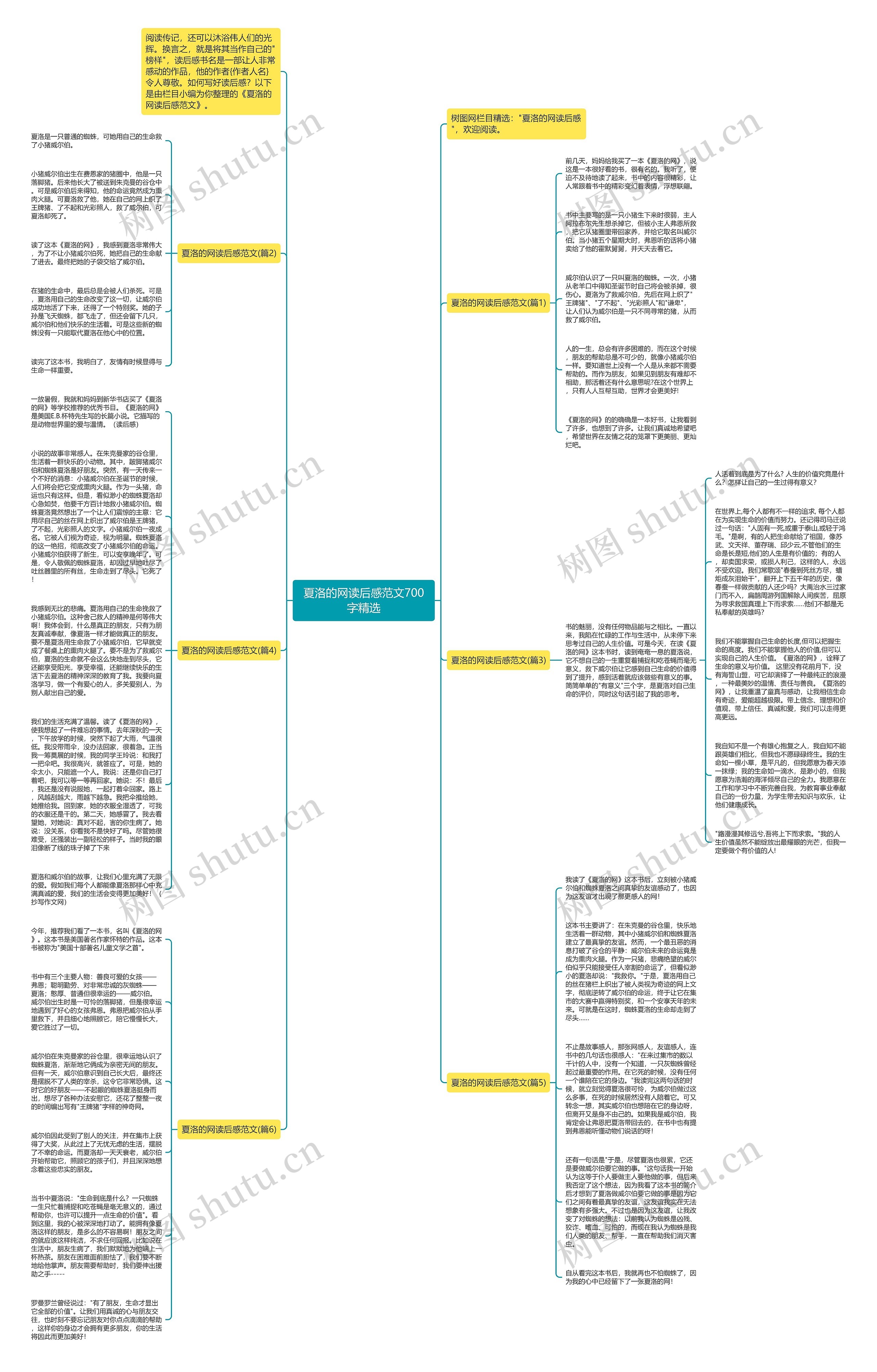 夏洛的网读后感范文700字精选思维导图