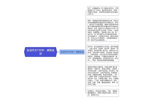 生活作文750字：感受生活