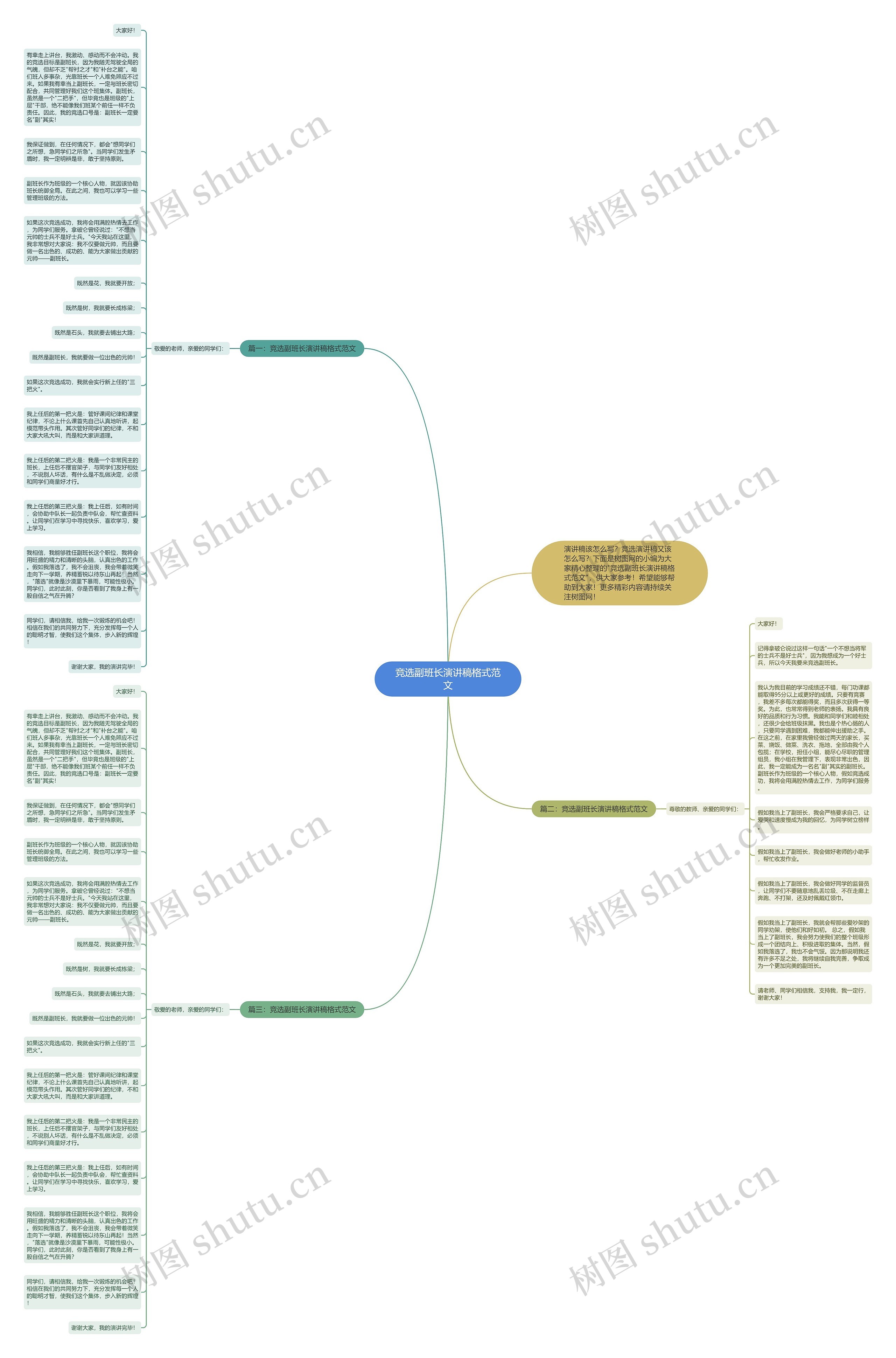 竞选副班长演讲稿格式范文思维导图