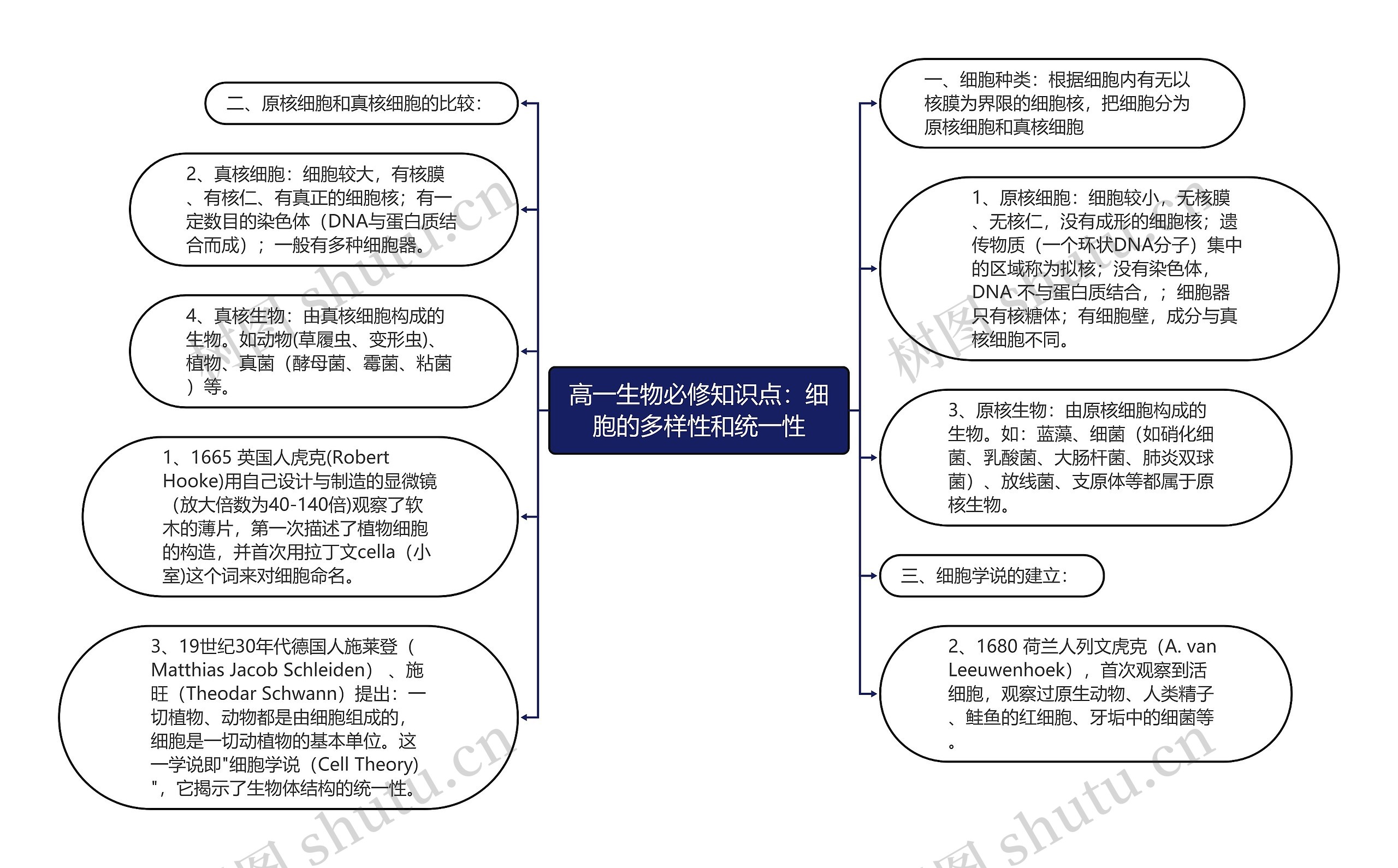高一生物必修知识点：细胞的多样性和统一性