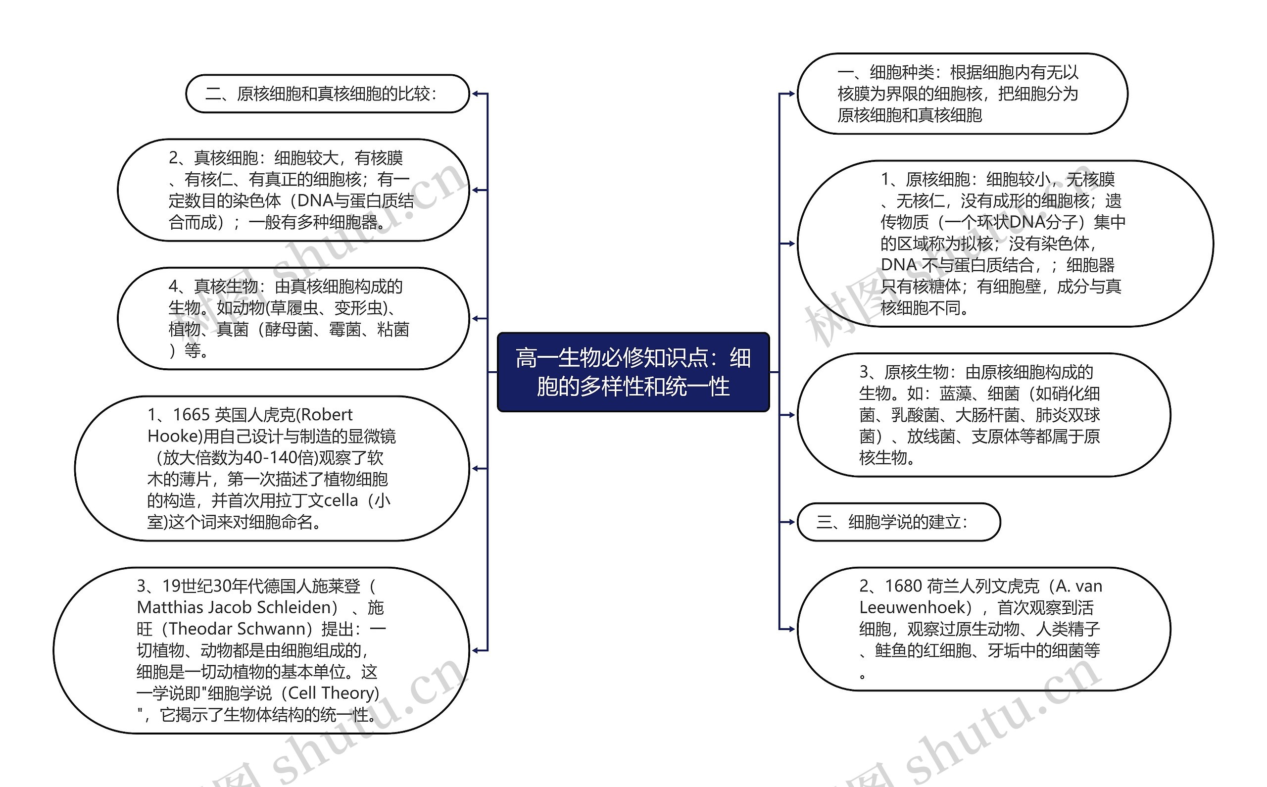 高一生物必修知识点：细胞的多样性和统一性思维导图