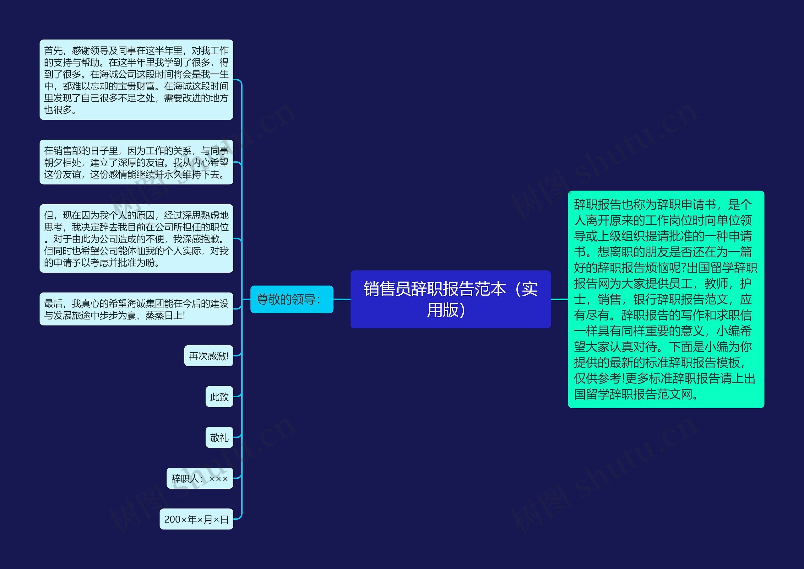 销售员辞职报告范本（实用版）