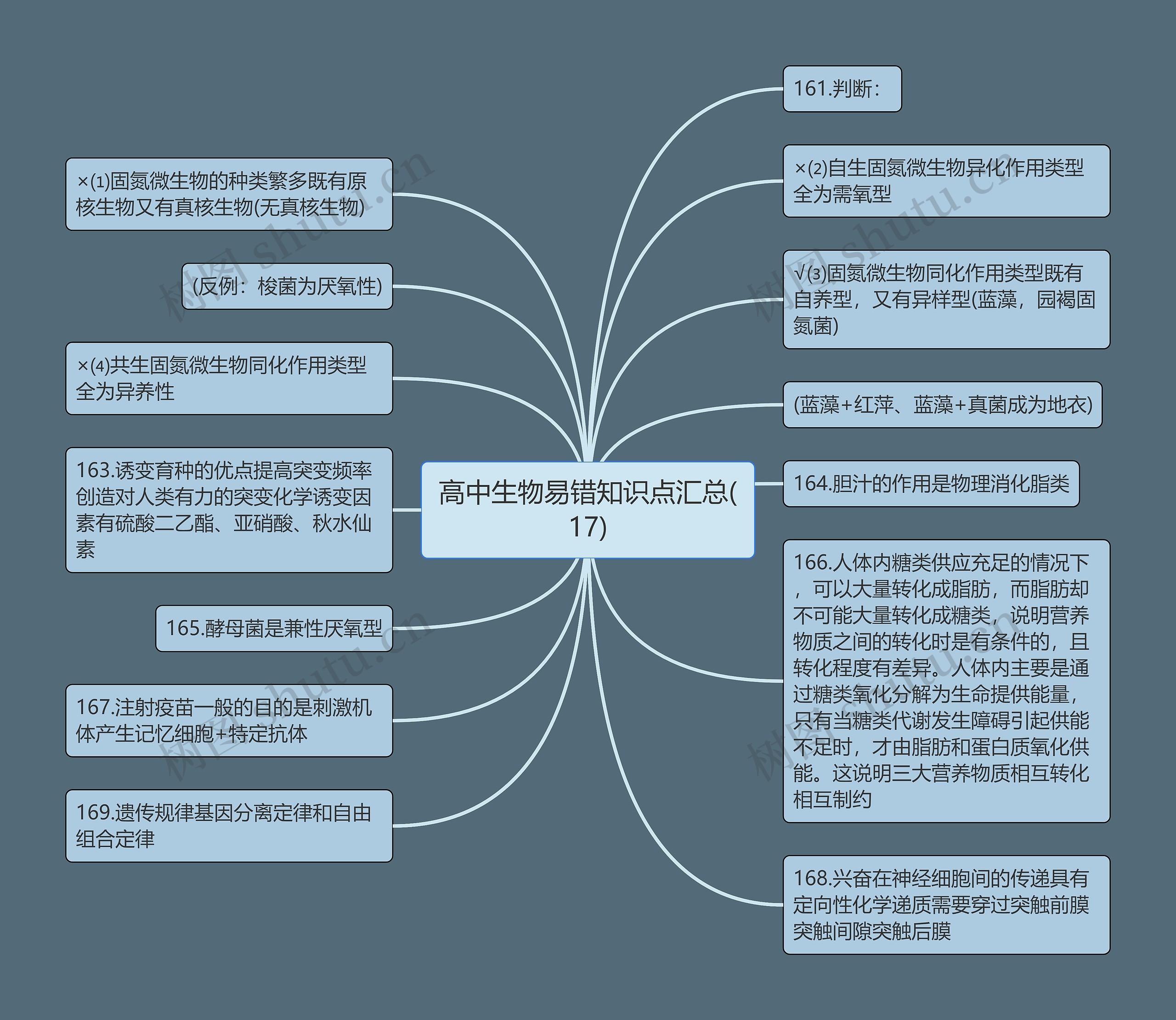 高中生物易错知识点汇总(17)思维导图