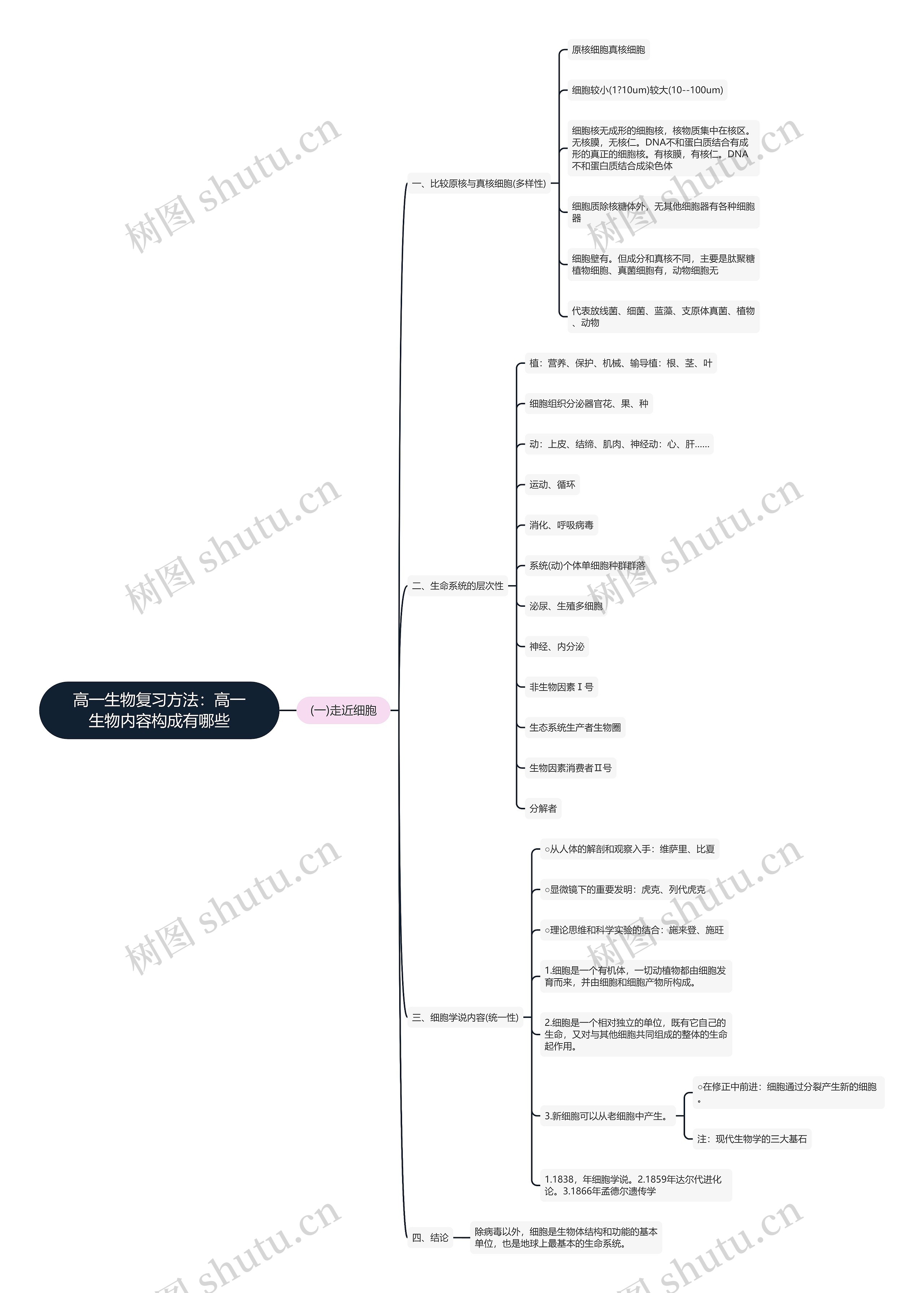 高一生物复习方法：高一生物内容构成有哪些思维导图