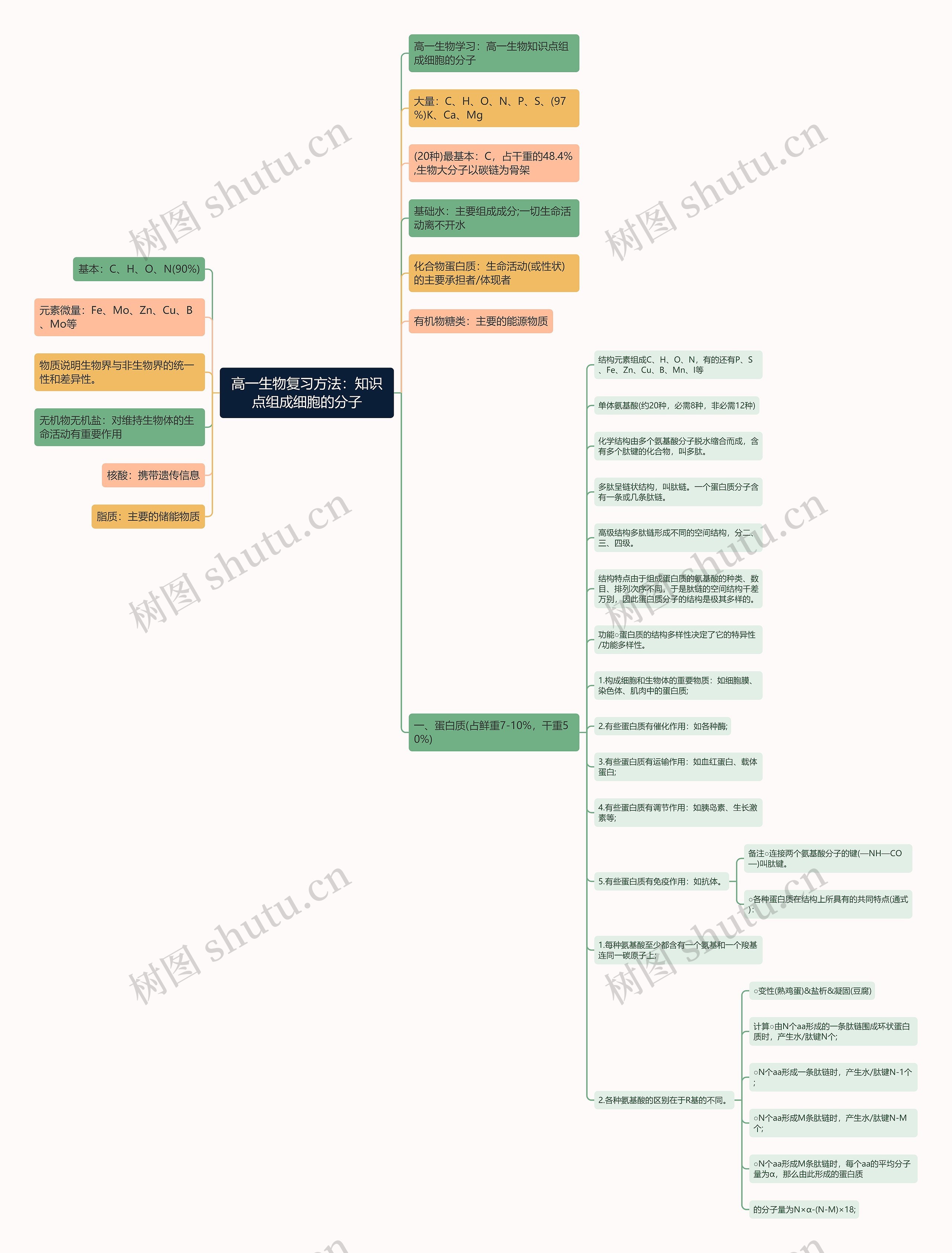 高一生物复习方法：知识点组成细胞的分子思维导图