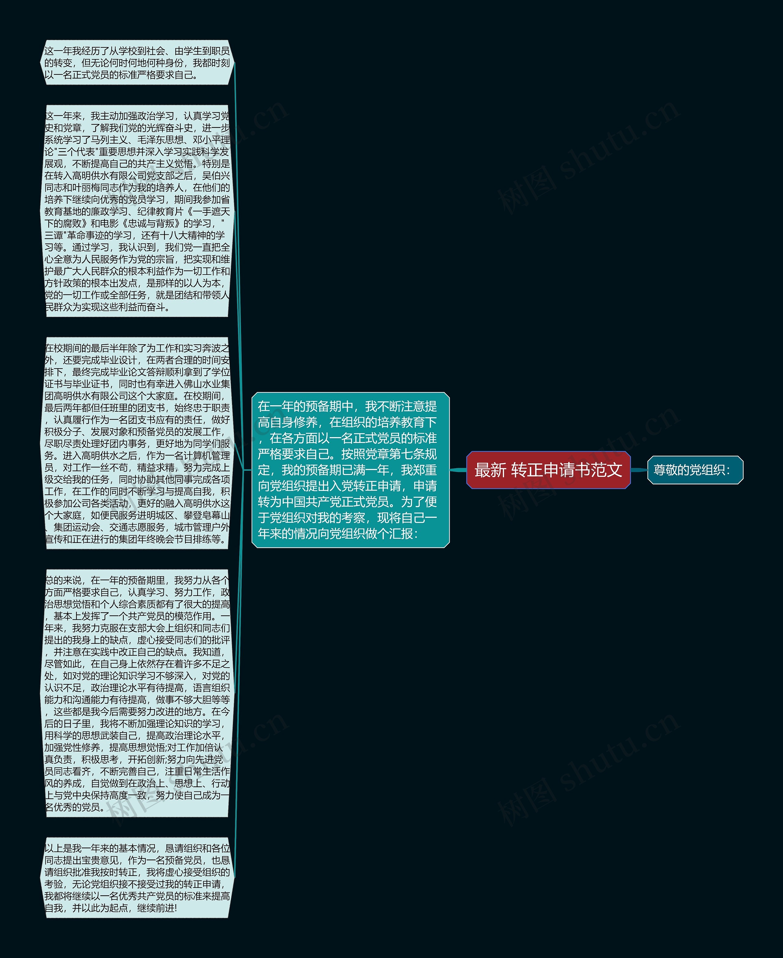 最新 转正申请书范文思维导图