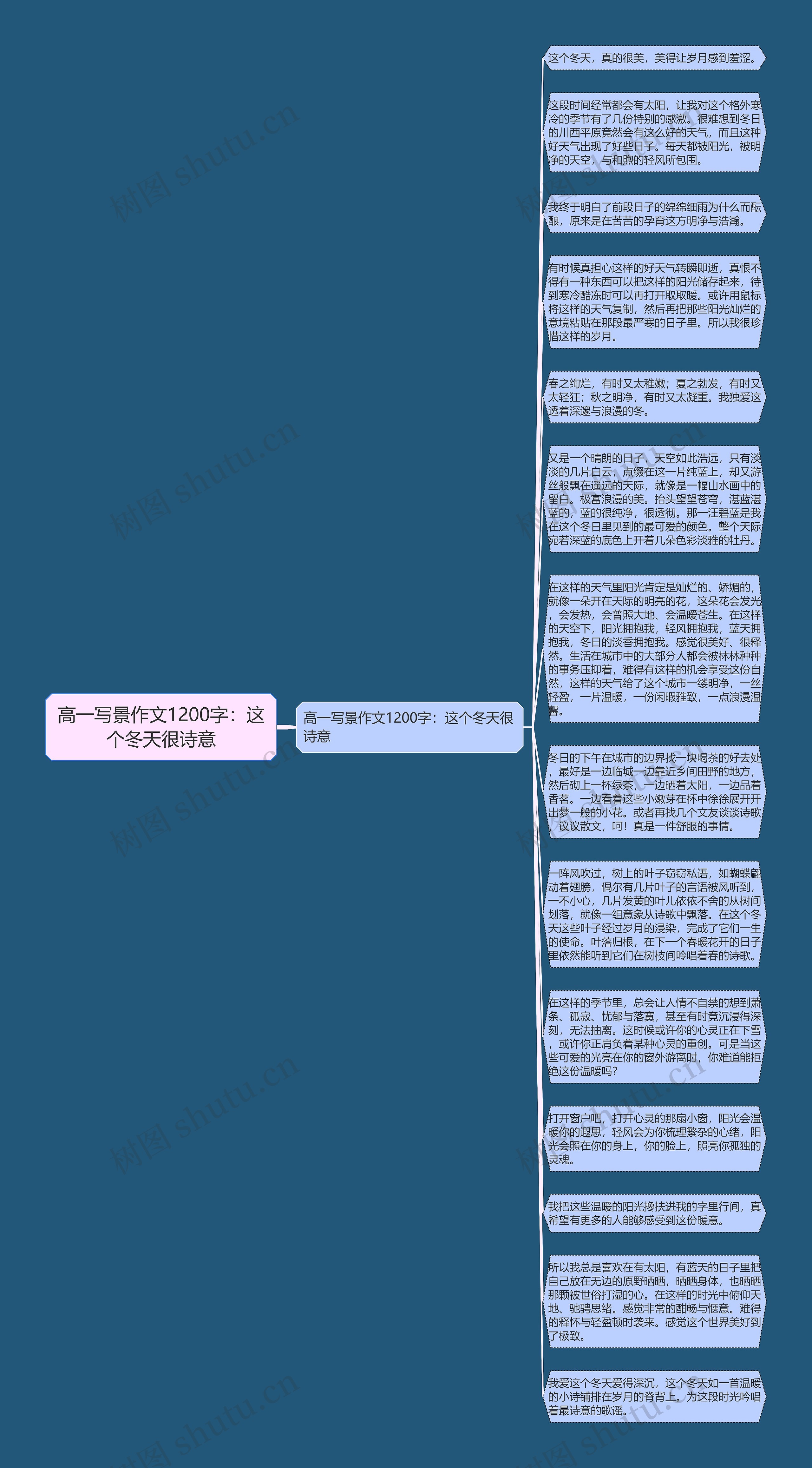 高一写景作文1200字：这个冬天很诗意思维导图